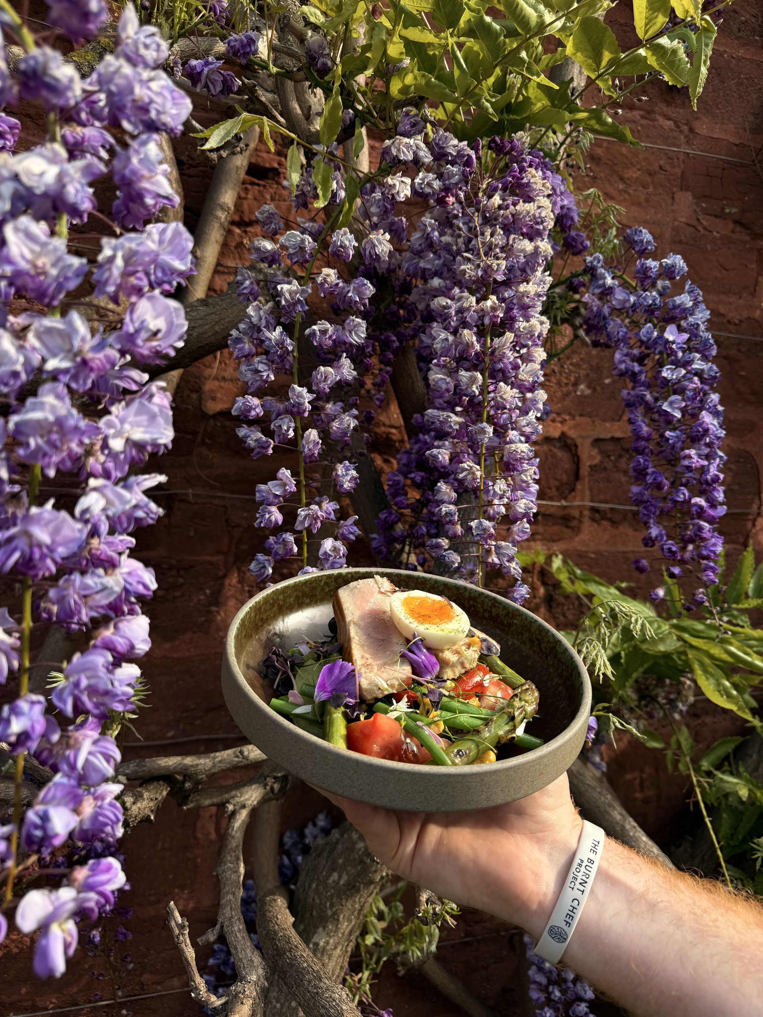 A bowl of salad containing vegetables, a boiled egg, and a slice of meat being held in a person's hand outdoors with purple flowering plants and a red brick wall in the background.