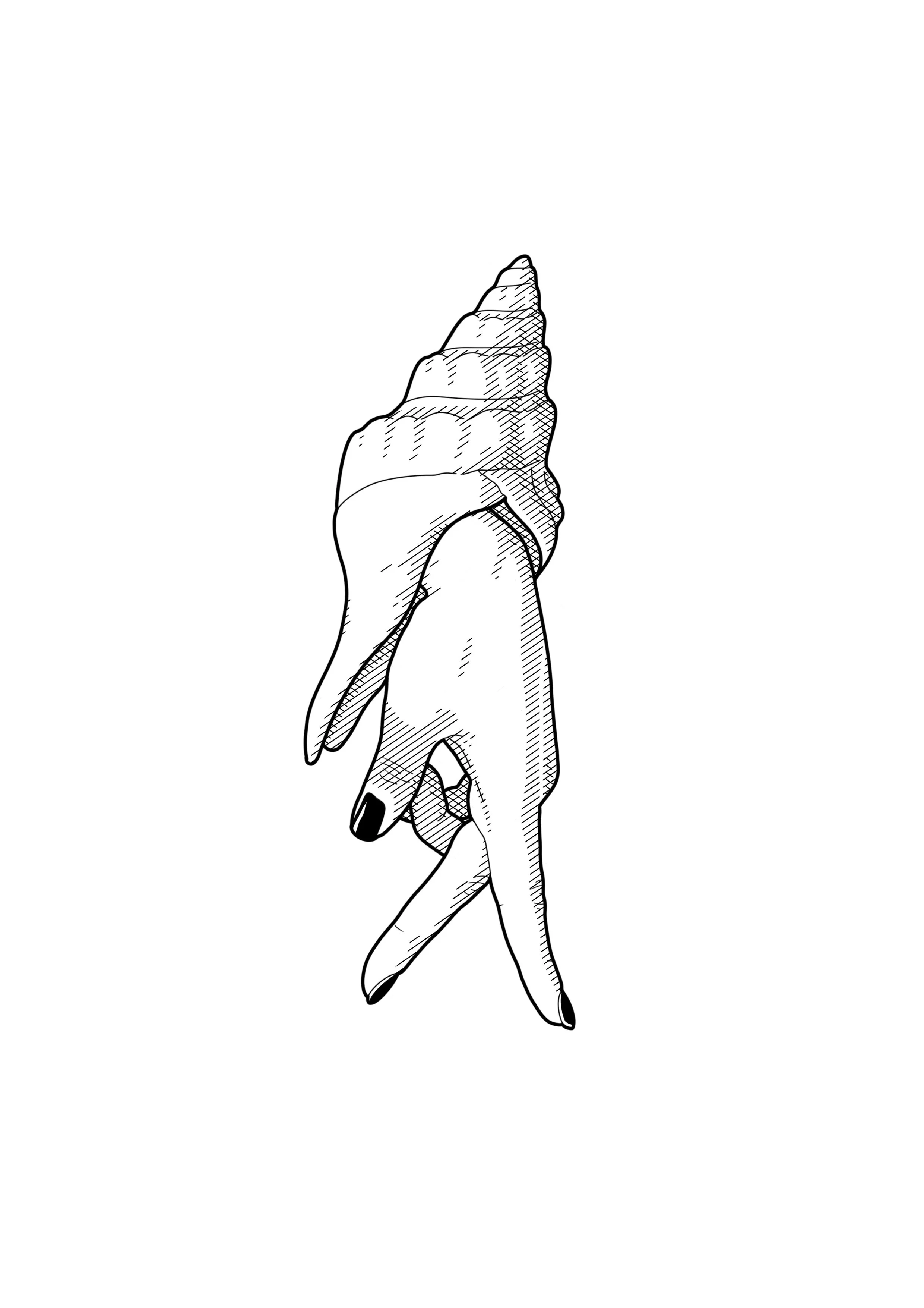 Black and white tattoo design illustration of a hand with painted nails, with fingers slightly curled as if the fingers are walking, apearing from a shell. by Nick Whybrow, Camden, London