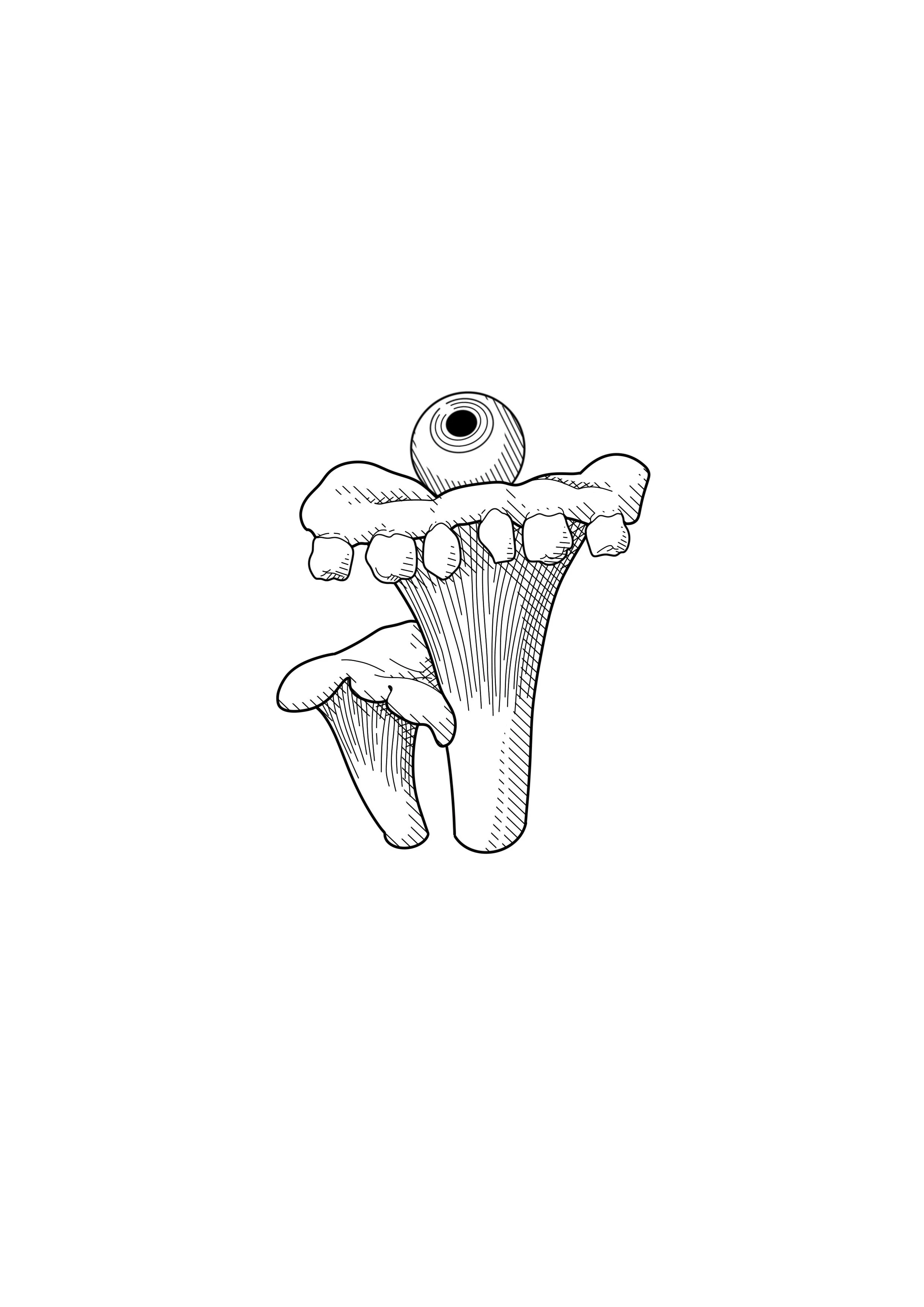Black and white illustration of a mushroom morphed with a human jaw and teeth, an eye resting atop the, creating a surreal, anatomical composition. by Nick Whybrow, Camden, London