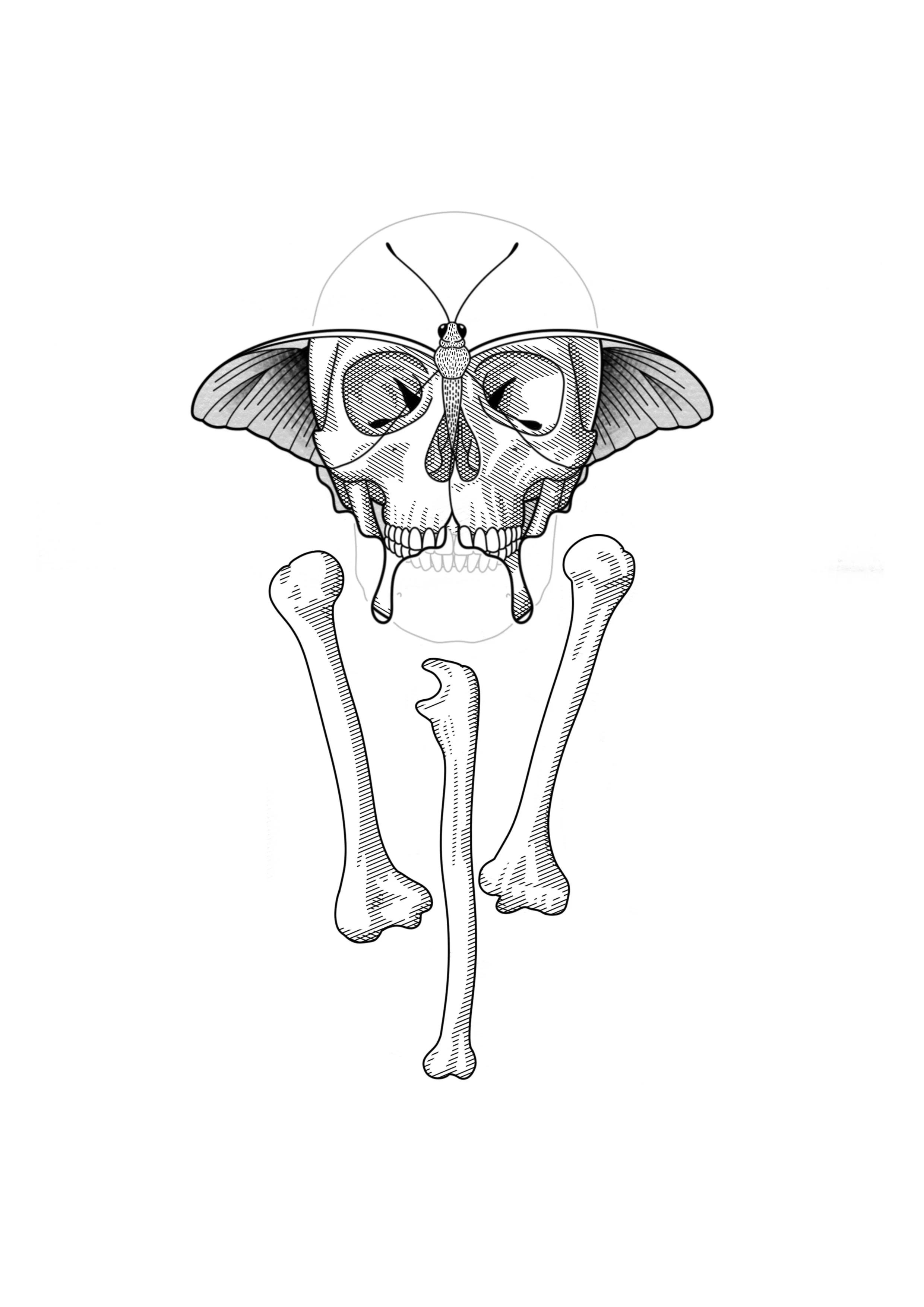 Black and white illustration of a butterfly with a skull-like pattern on its wings, positioned above a pair of human femur bones.
