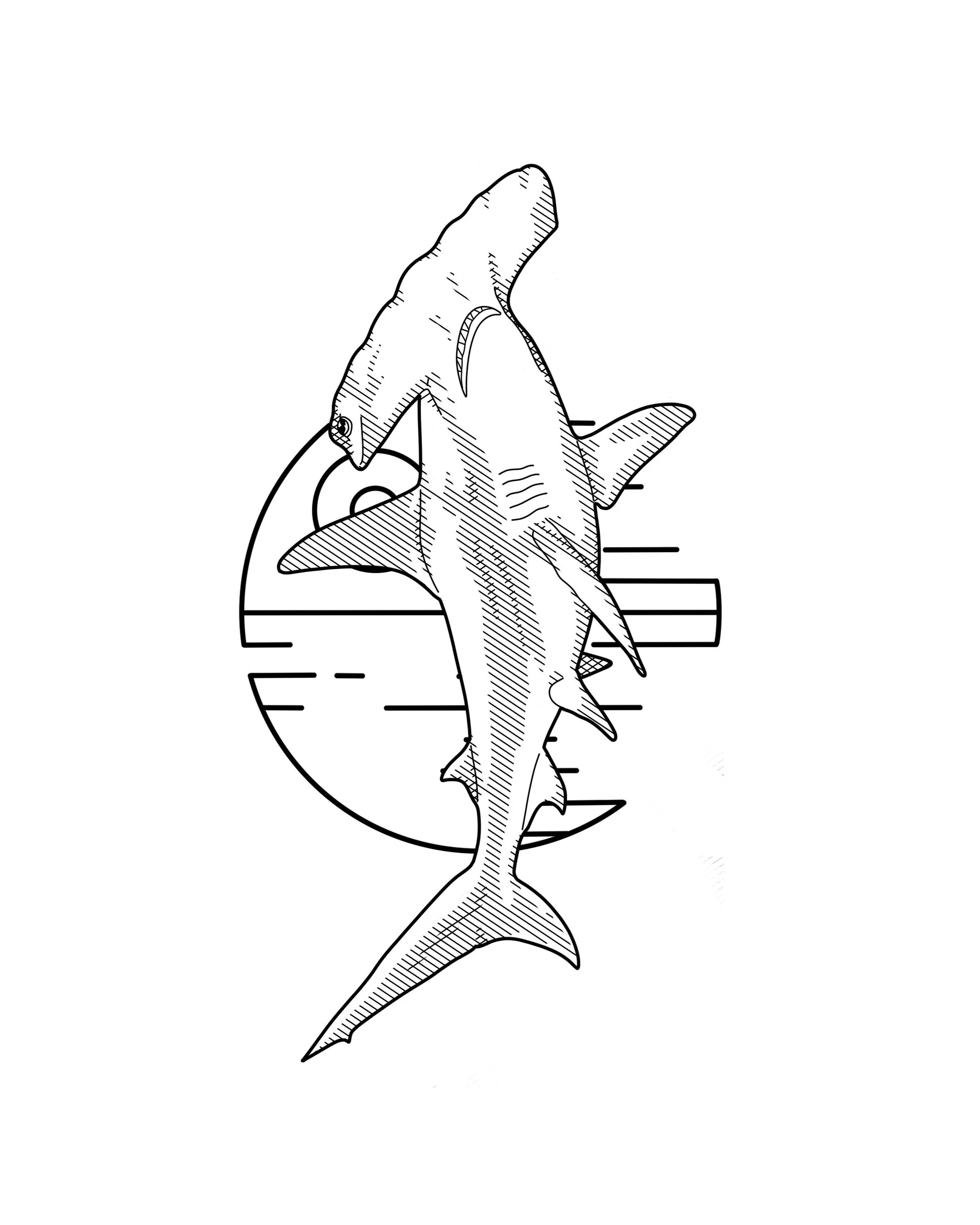 Line drawing of a hammerhead shark with a background of a line drawing diagram of the death star from Star Wars. By Nick Whybrow, Camden, London.
