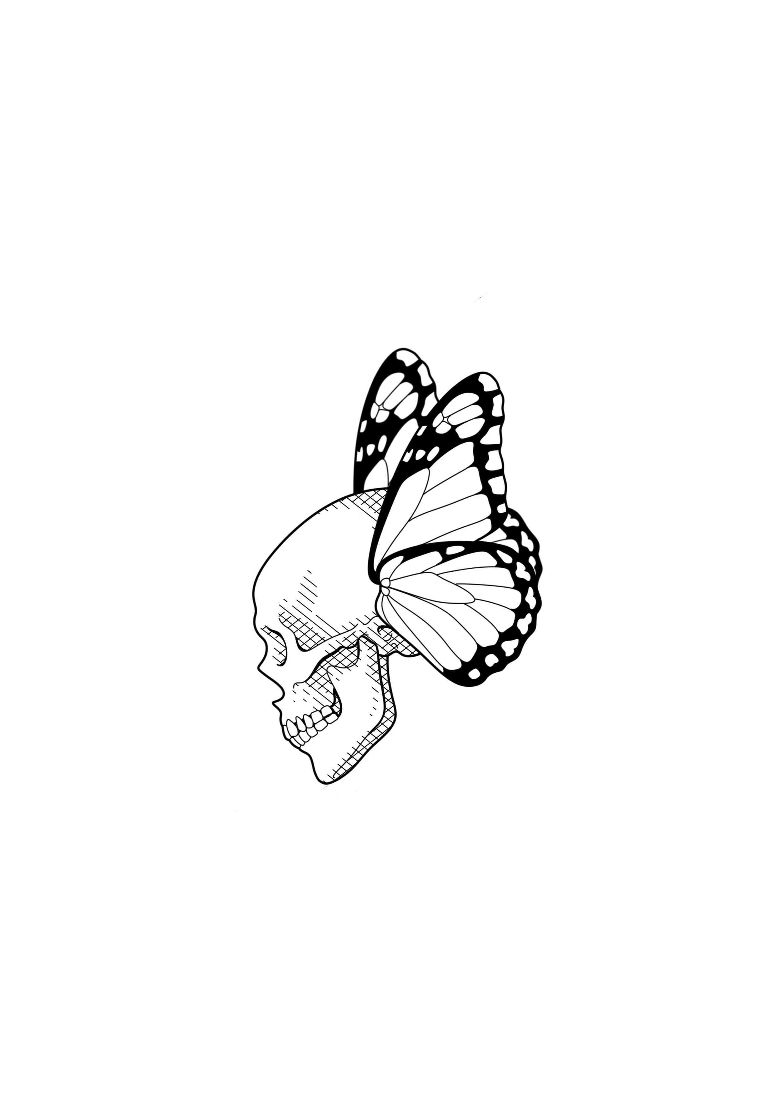 A black and white illustration of a human skull with a butterfly wings, showing details of the skull and butterfly wings. By Nick Whybrow, Camden, London.