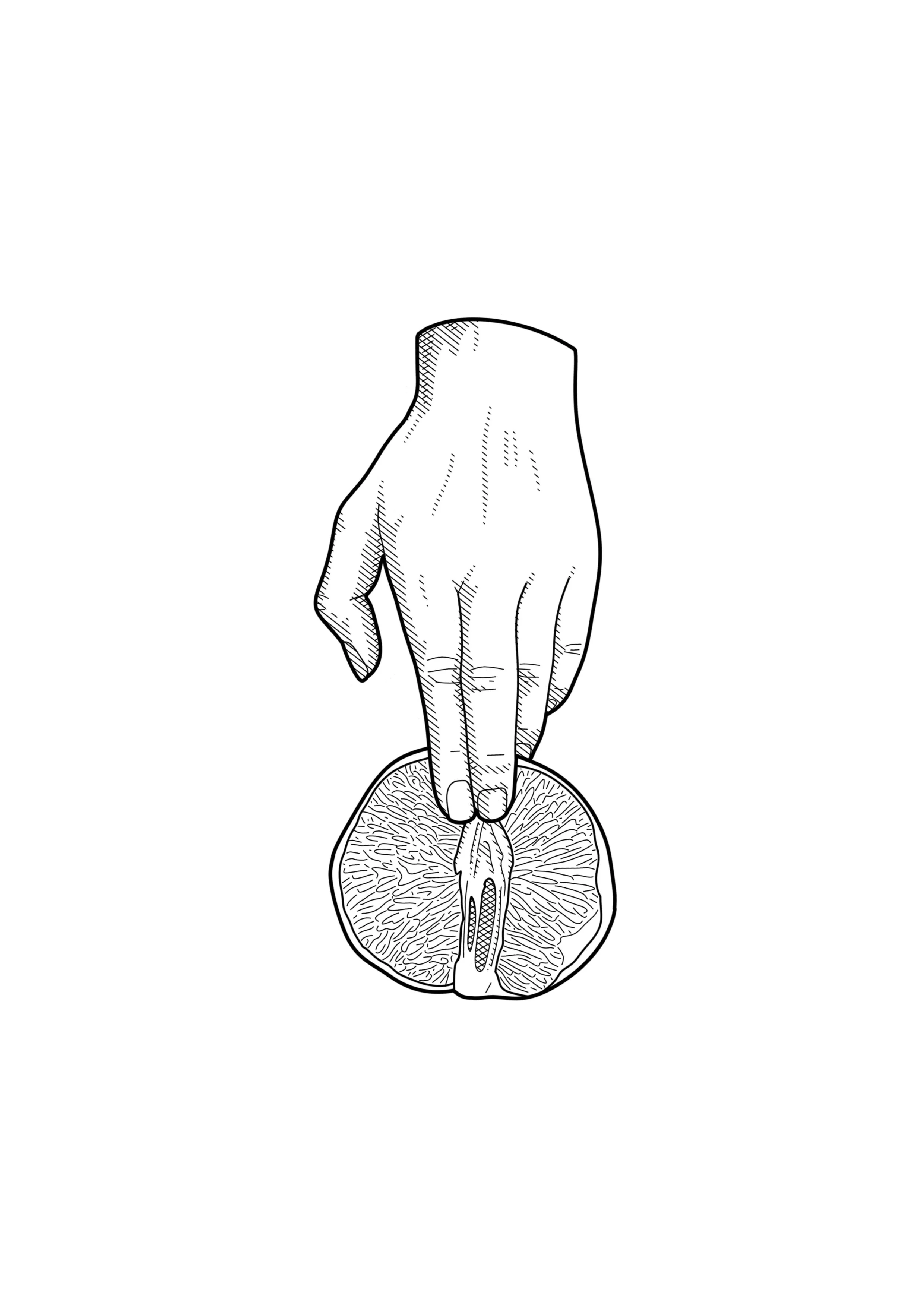 Line drawing tattoo design of a hand pointing at a crossed-section of a fruit, showing detailed internal layers. by Nick Whybrow, Camden, London