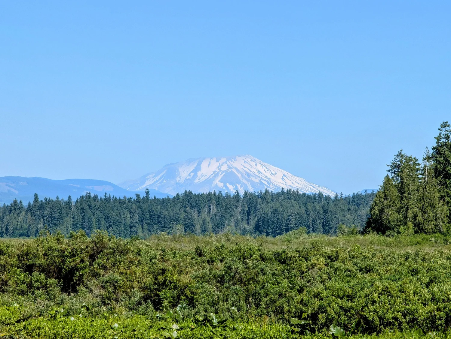 Mount St. Helens and the foothills above the Cowlitz County valley floor