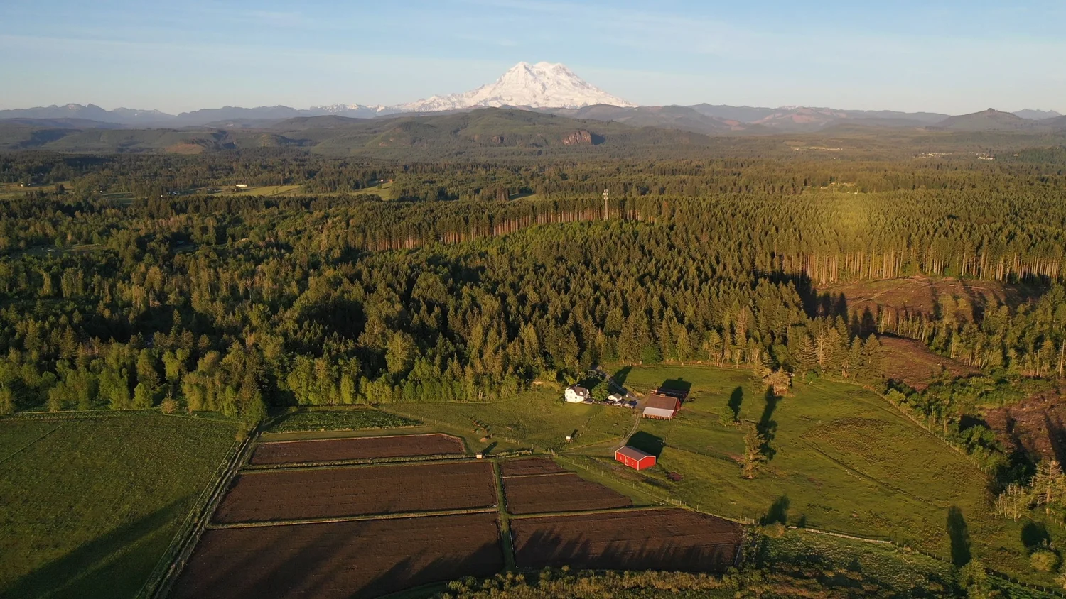Flat valley farmland like the Chehalis River basin ground of western Lewis County, WA