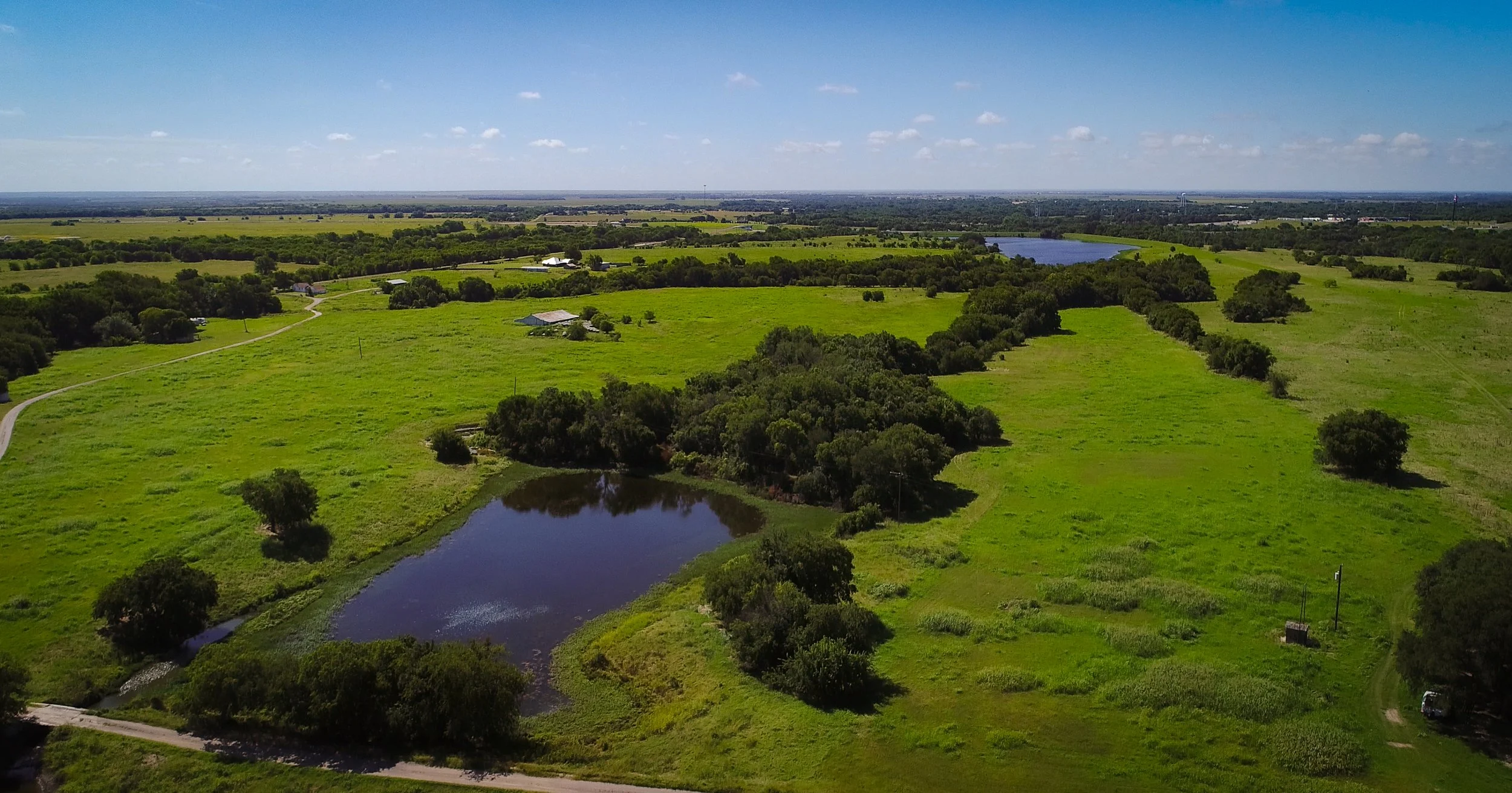 Texas skyline