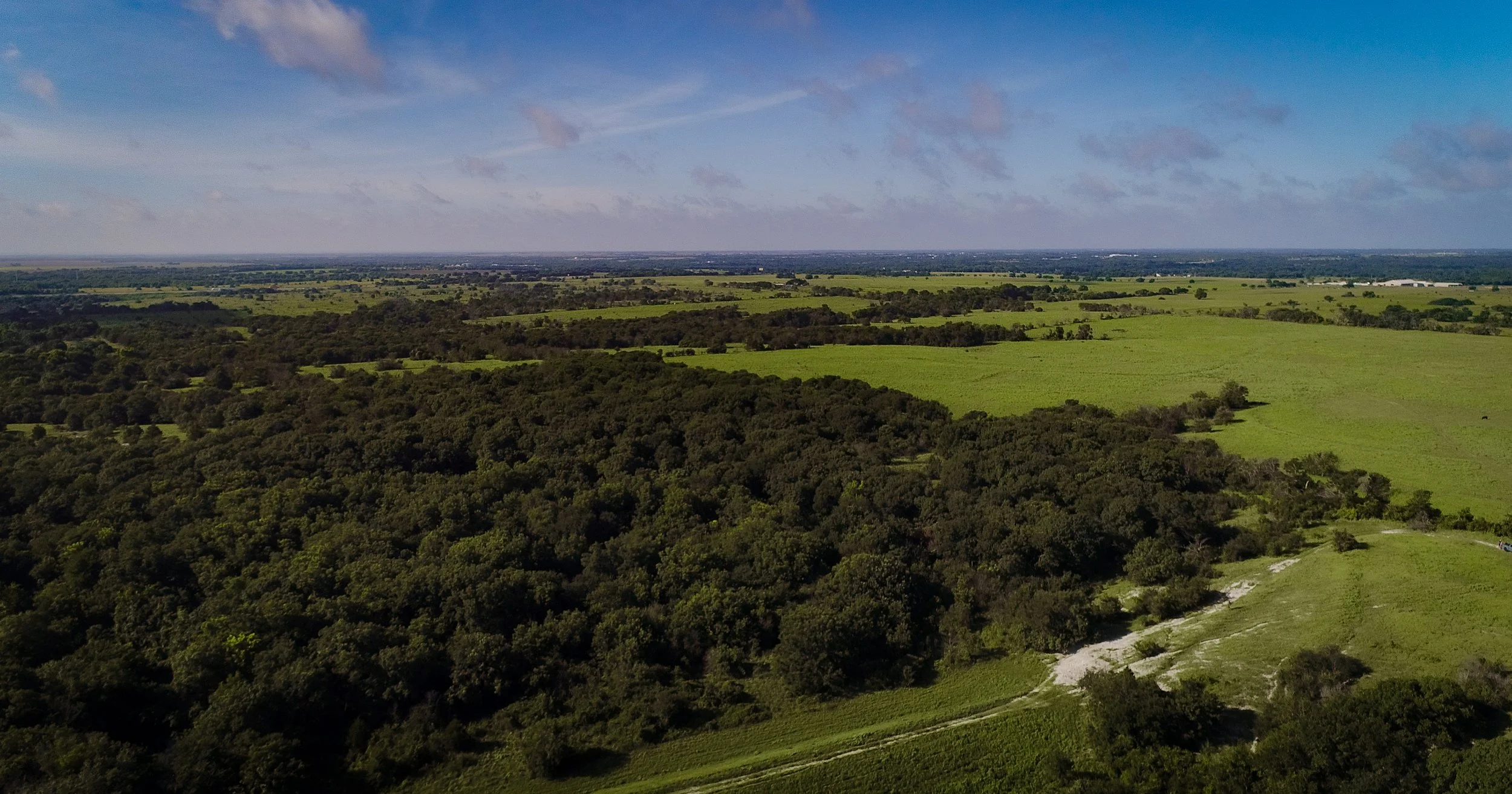 Ranch landscape