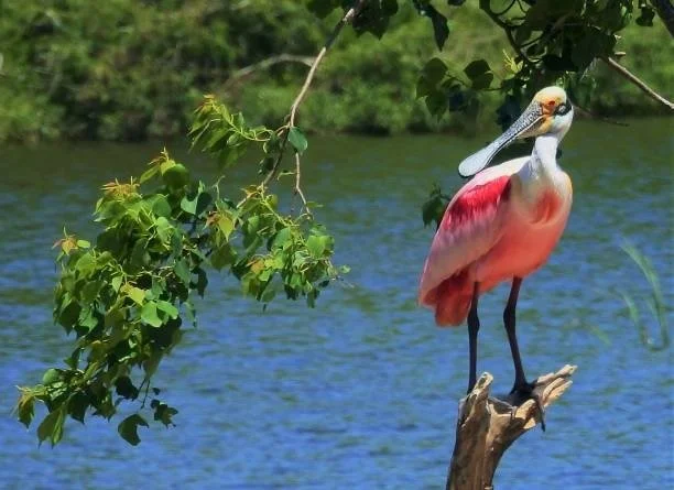 WhatsApp Image 2025-11-20 at 11.50.28.jpeg