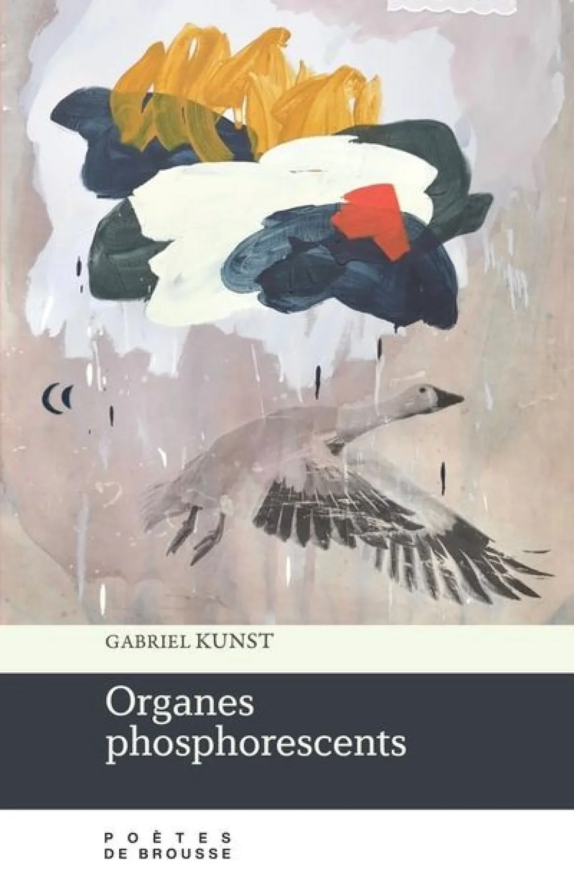 Organes phosphorescents_Gabriel Kunst_Poètes de brousse