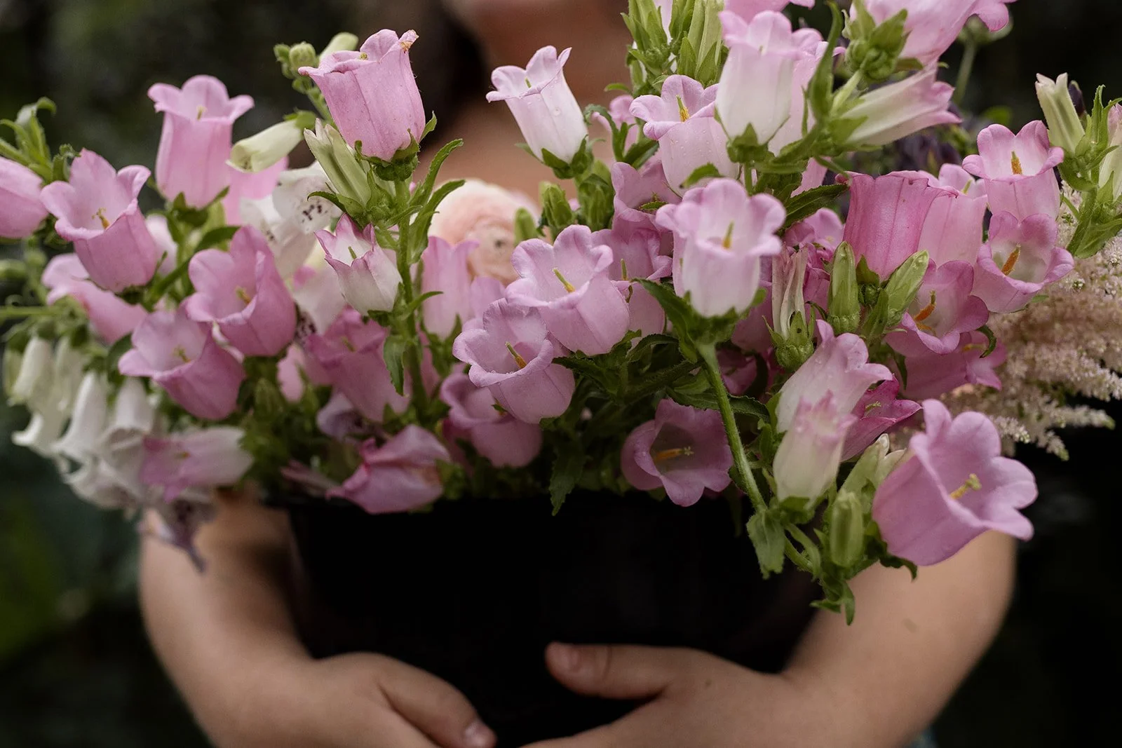 Seasonal Spring Flowers in Charlotte NC: A Wedding Florist’s Guide for 2026