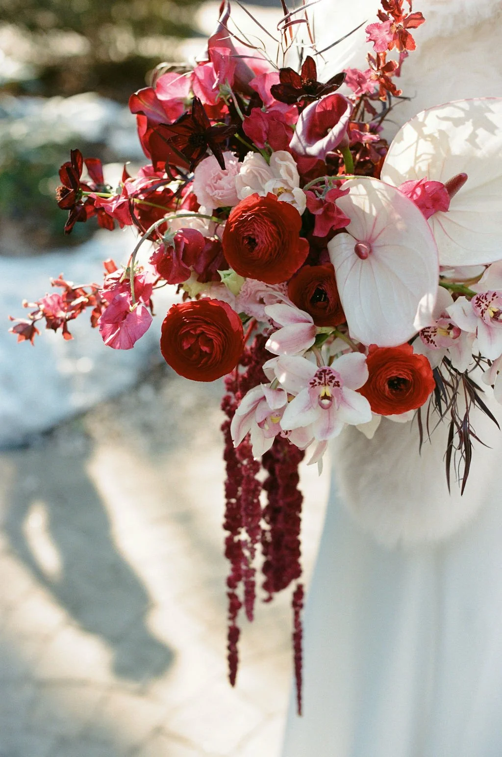 Kelsey Nelson Photography