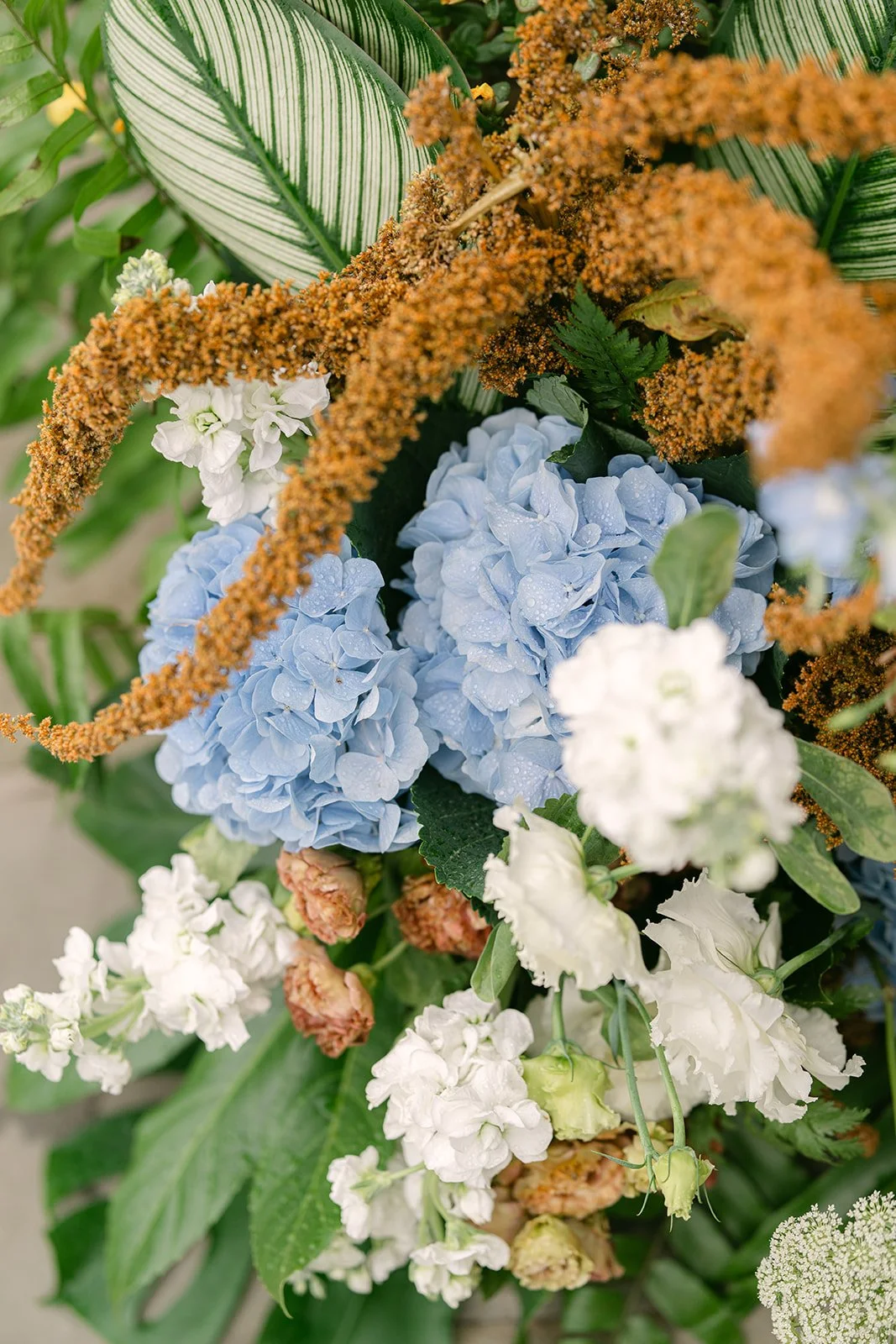 Andre Blom Photography