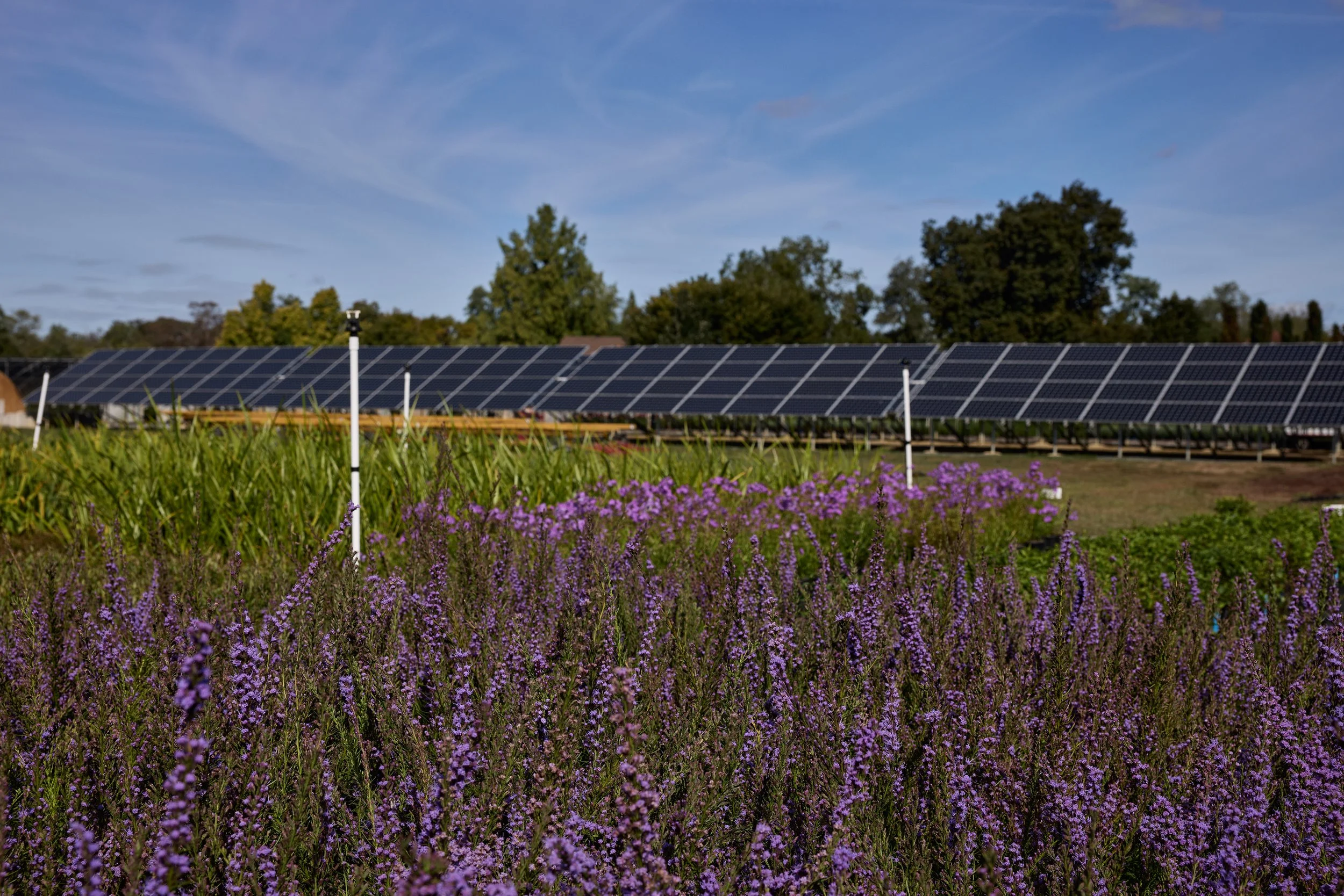 PRN_100225_NURSERY_698.JPG