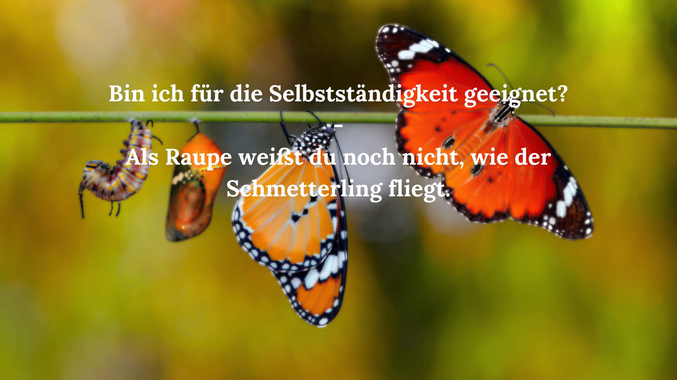 Bin ich für die Selbstständigkeit geeignet?