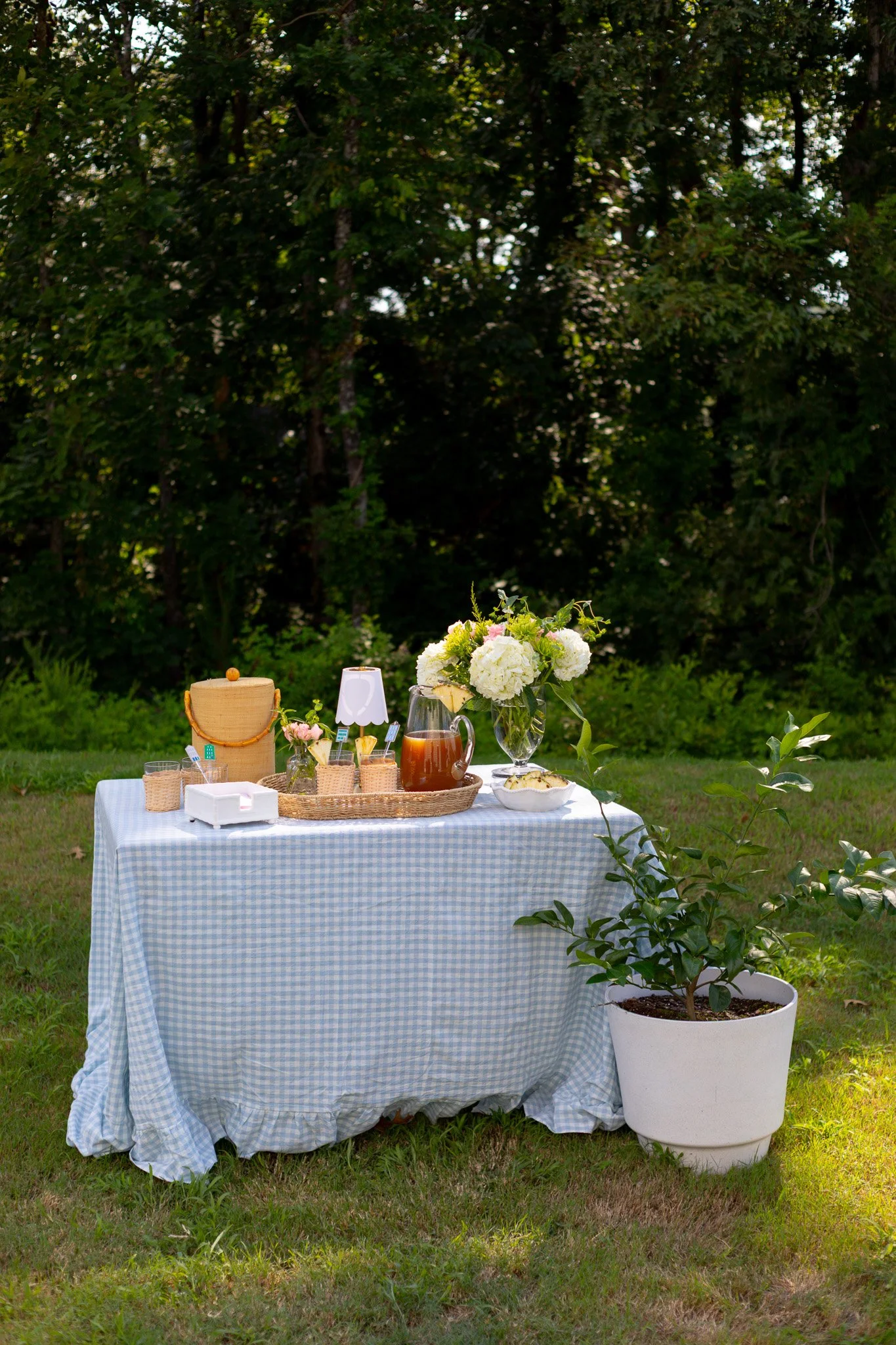 Outdoor table with checkered tablecloth, plants, flowers, and various items set up for a picnic or gathering in a grassy area surrounded by trees.