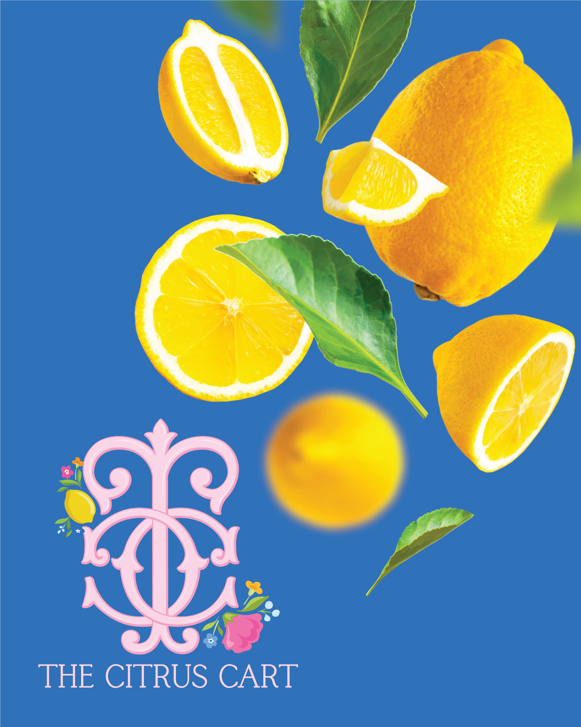 The Citrus Cart SM Images-13.png