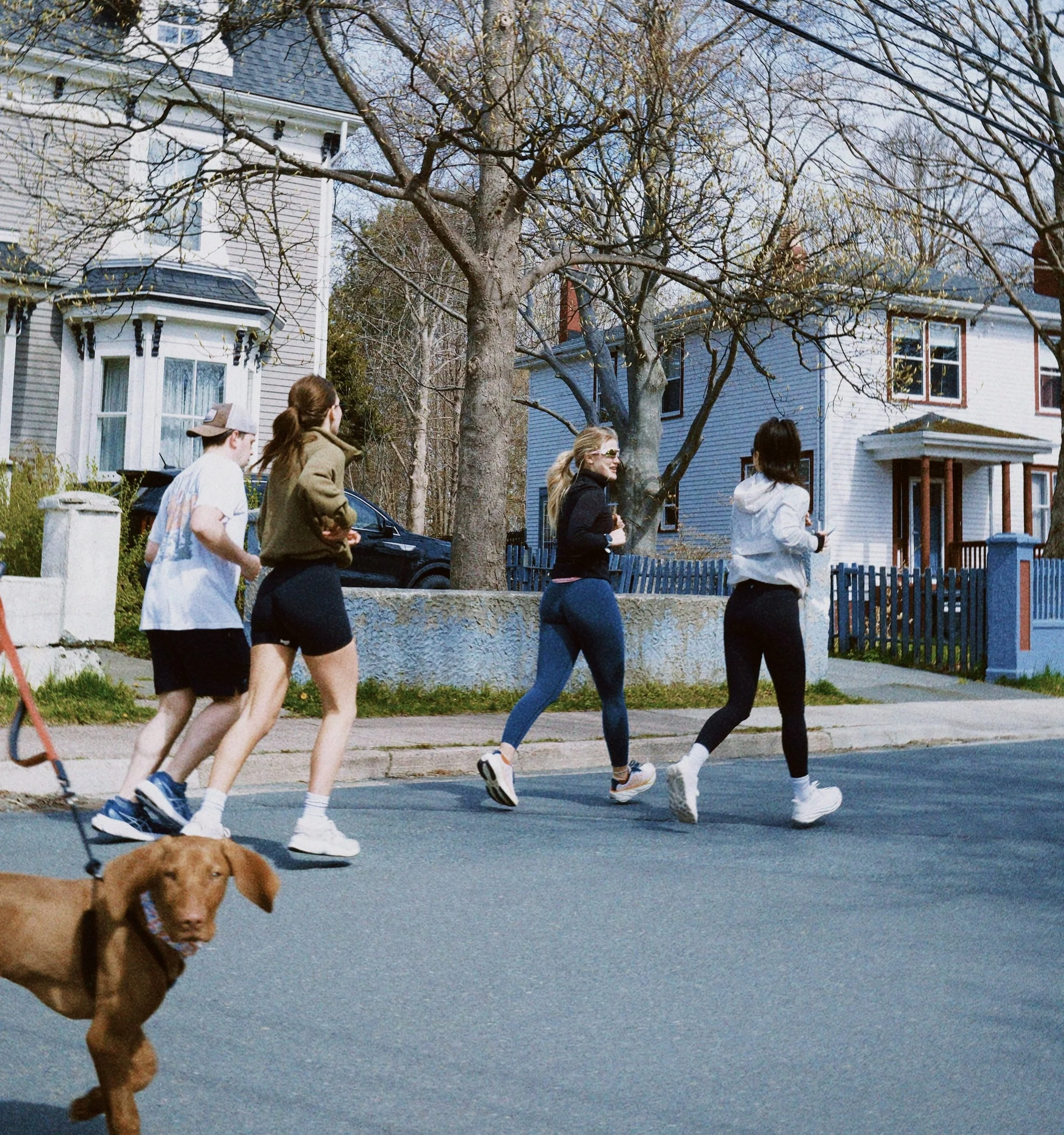 Four women jogging on a residential street with a dog in the foreground and houses in the background.