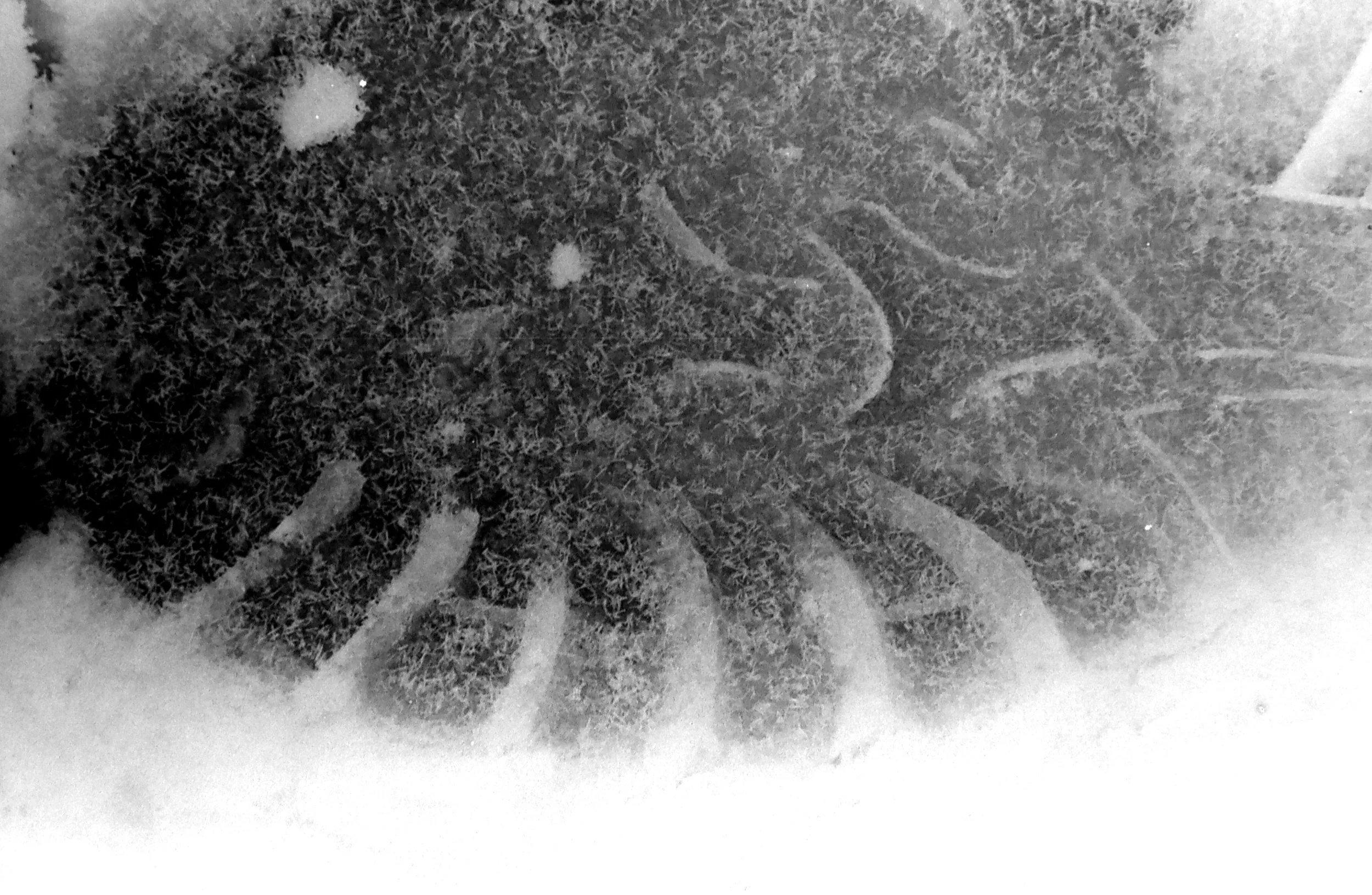 IMG_7608 copy 2.jpeg