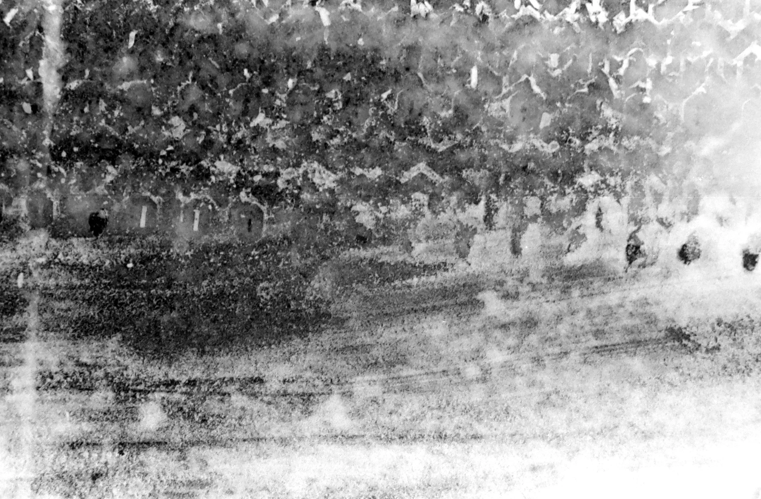 IMG_7604 copy.jpeg