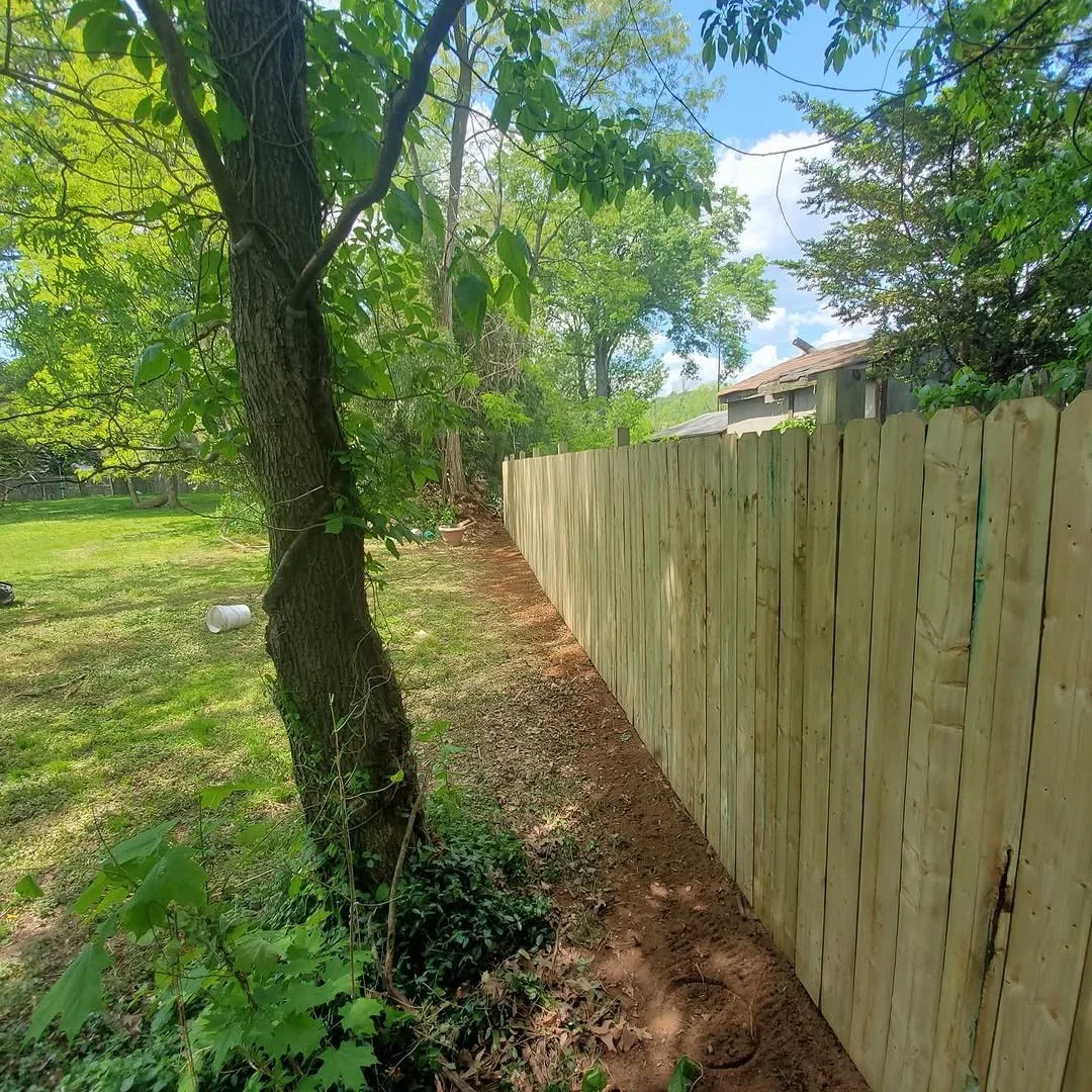 A backyard with a newly installed wooden fence running along the edge, with a large tree with green leaves and a grass lawn in the background under a blue sky with some clouds.