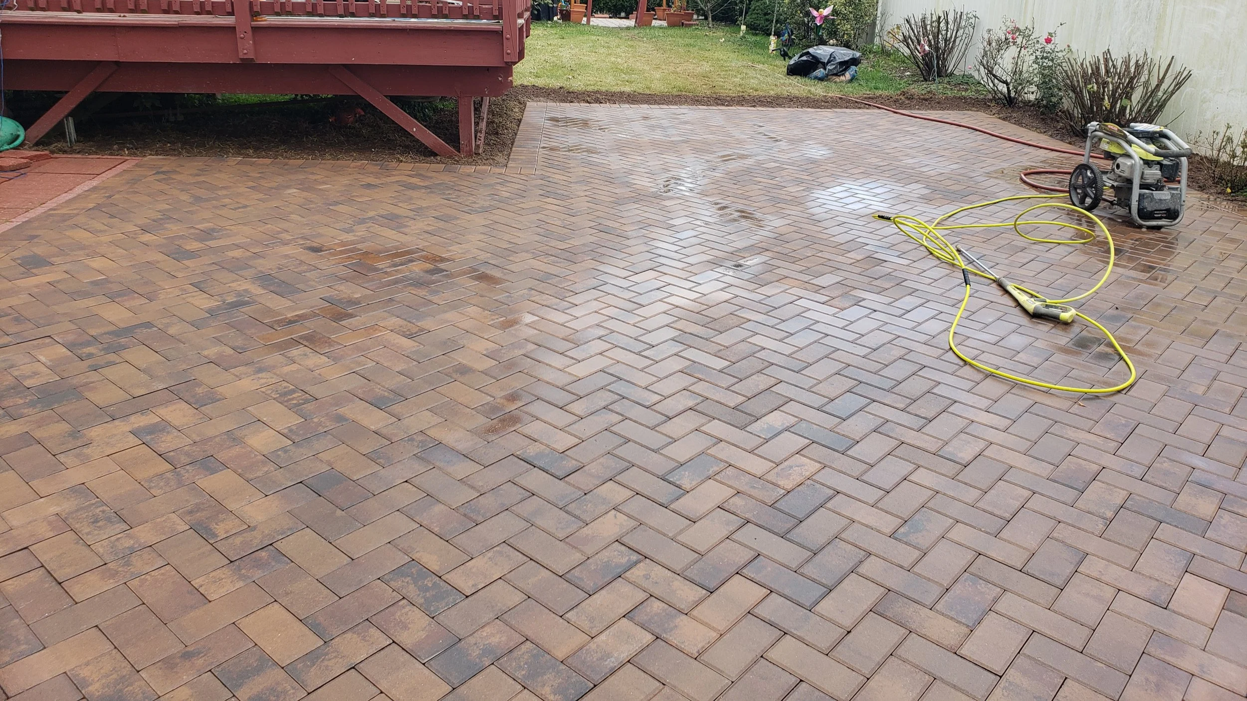 A backyard with a brick patio, gardening tools, and a pressure washer, with wet bricks and a garden with plants and bushes in the background.