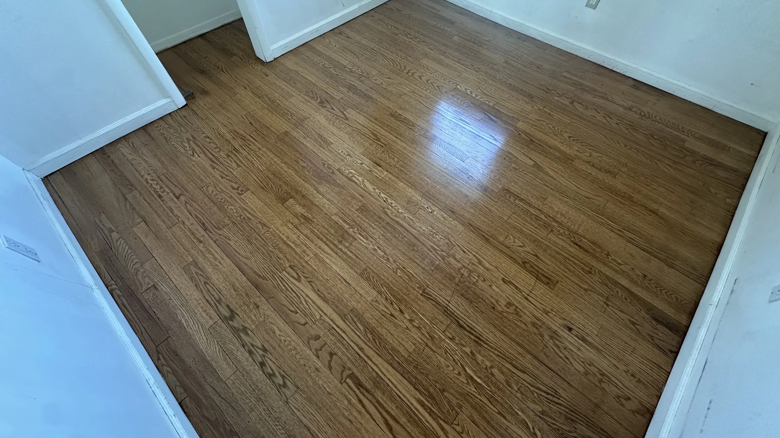 Floor sanded and stained