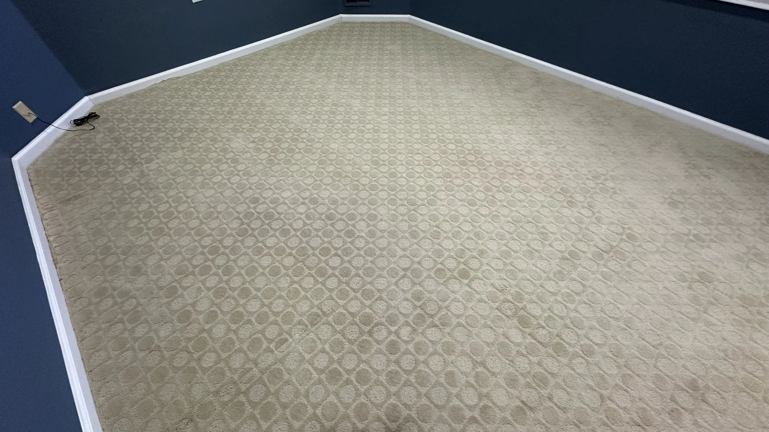 An empty room with blue walls and beige patterned carpet, white baseboards, and an electrical outlet with a black cord on the left wall.