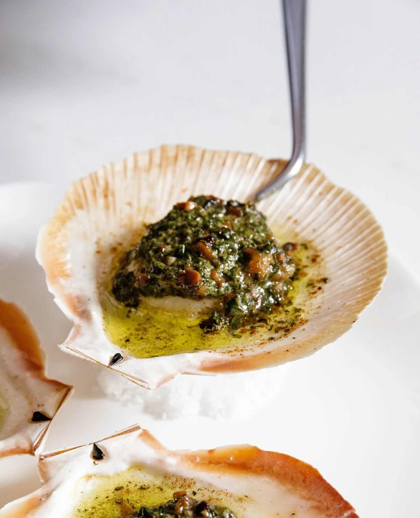 Grilled scallops from the Abrolhos Islands, finished with hazelnut and coriander butter.⁠
⁠
#RickSteinAtCoogeeBeach #SydneyEats #CoastalDining #SeafoodSeason #Scallops