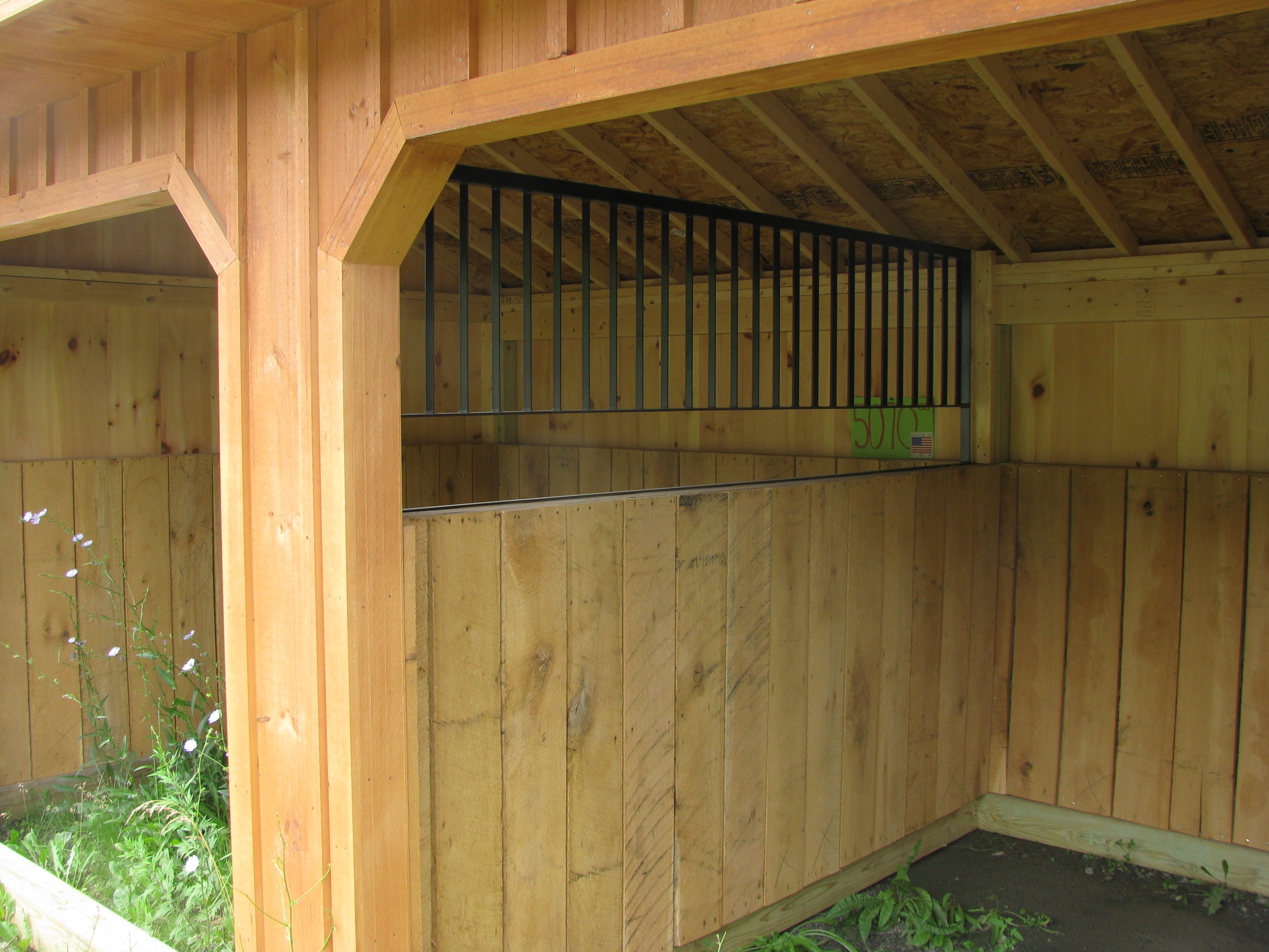 The interior of a wooden run in shed with vertical wooden panel walls, a sloped roof, and a metal railing inside.