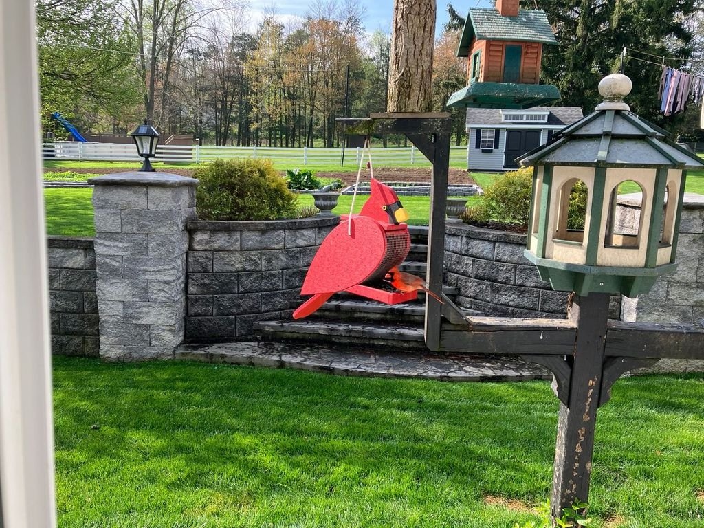 A backyard with a green lawn, stone retaining wall, and multiple bird feeders, including a red bird-shaped feeder and a green and beige lantern-style feeder, with trees and a fenced area in the background.