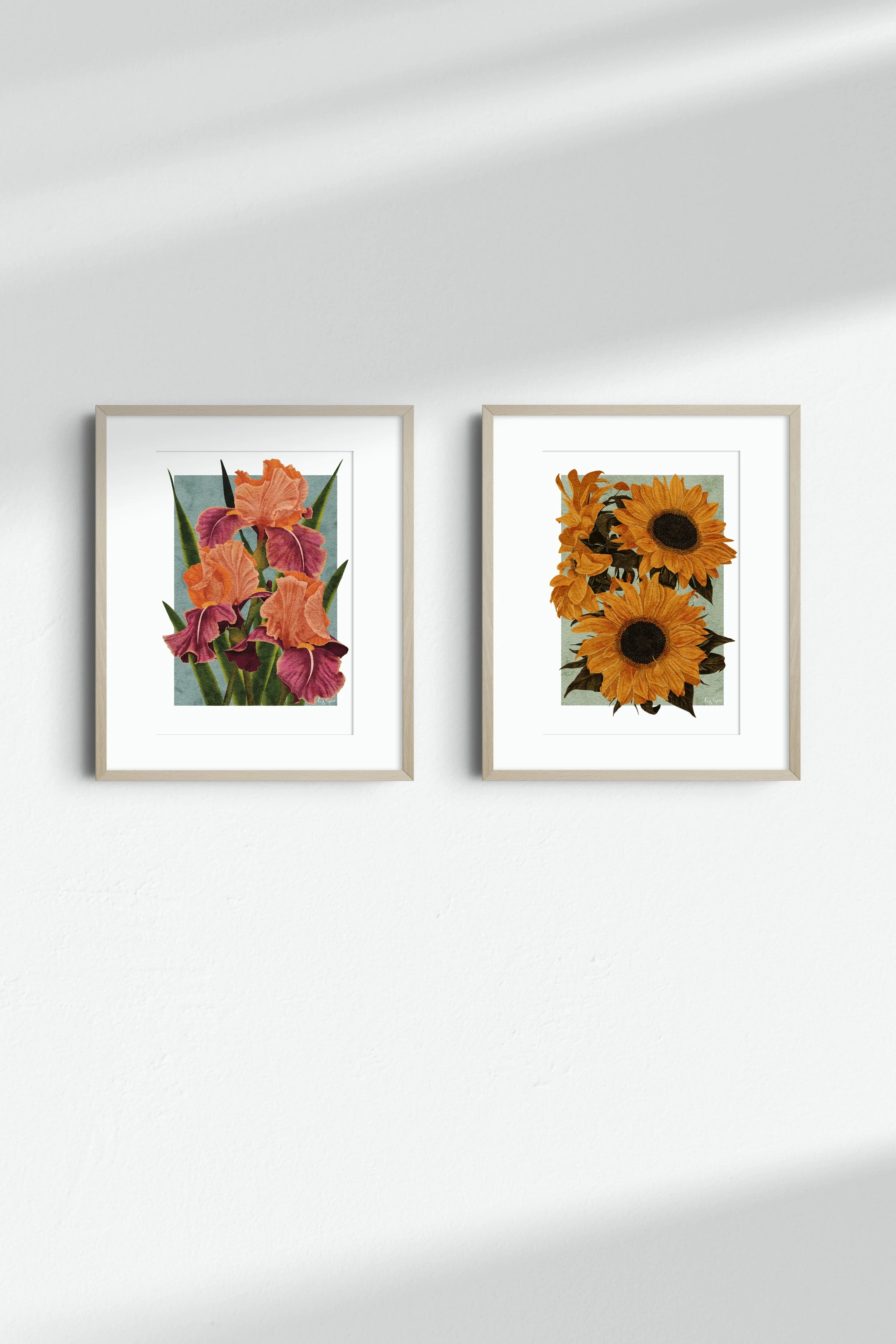 Two framed botanical fine art prints by Liz Govier Studio — Carnaby Iris and Sunflowers — displayed together on a white wall in natural light.