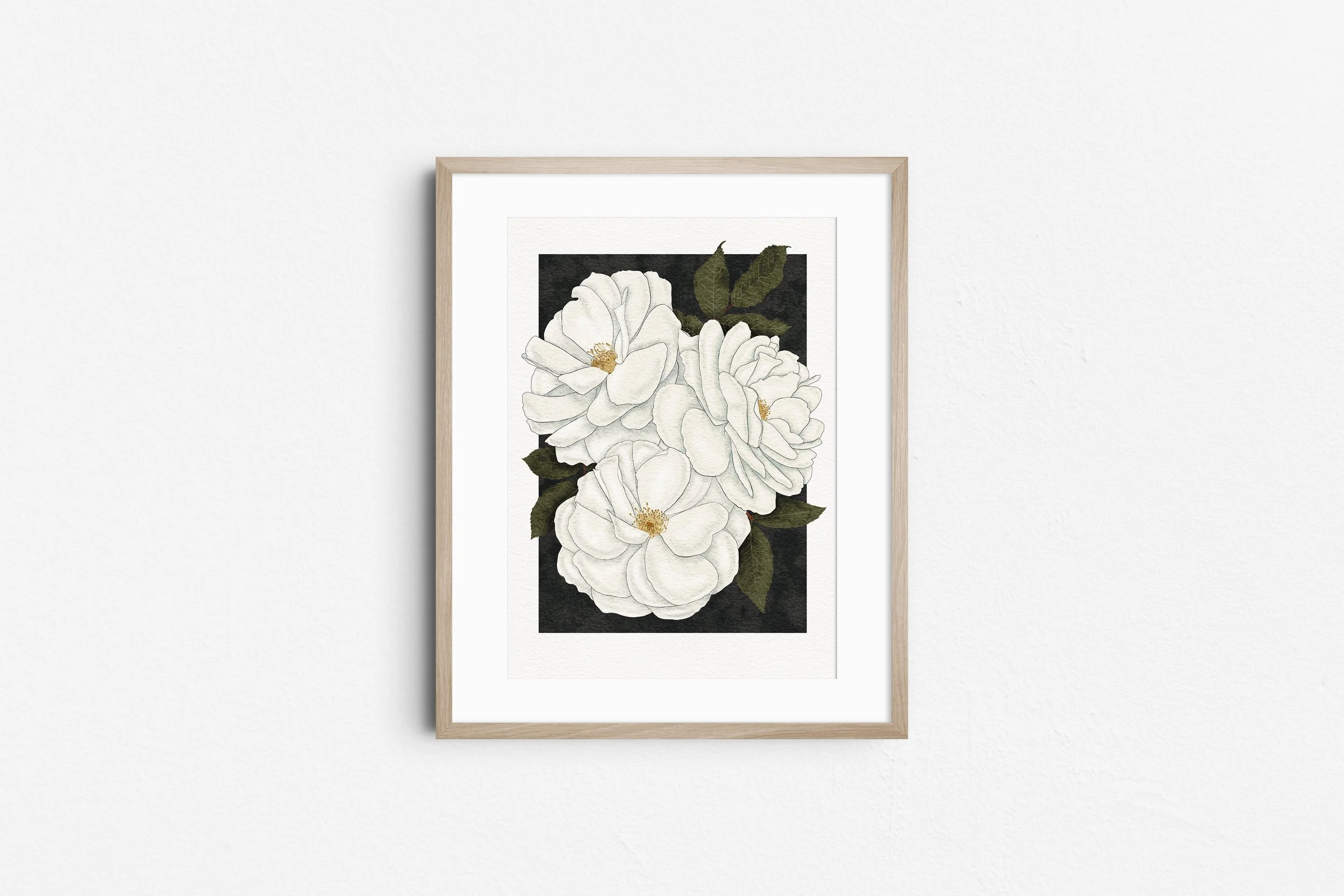 Madame Alfred Carrière – Botanical Art Print