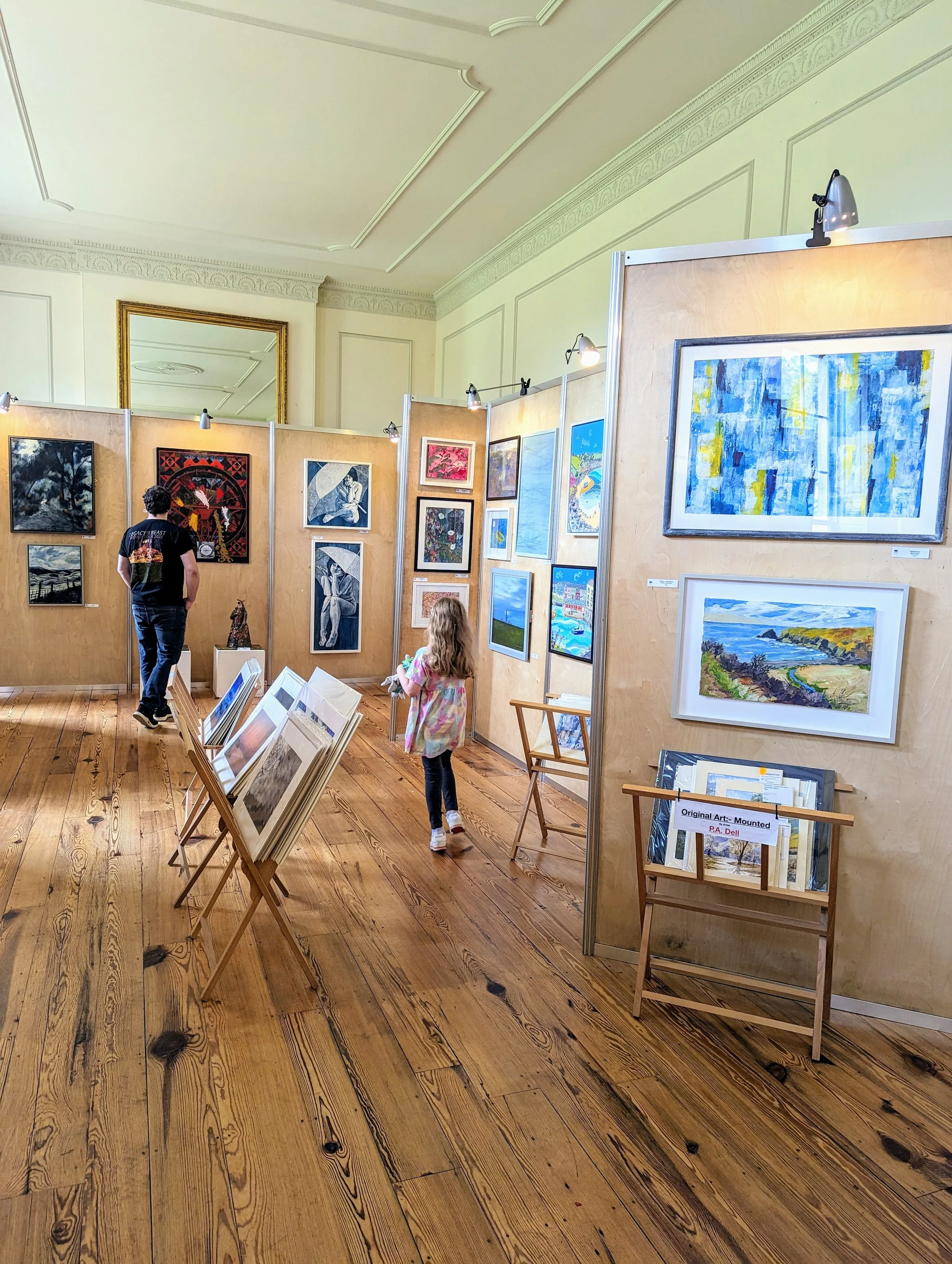 Fishguard Arts Society - Summer Open Exhibition 2025