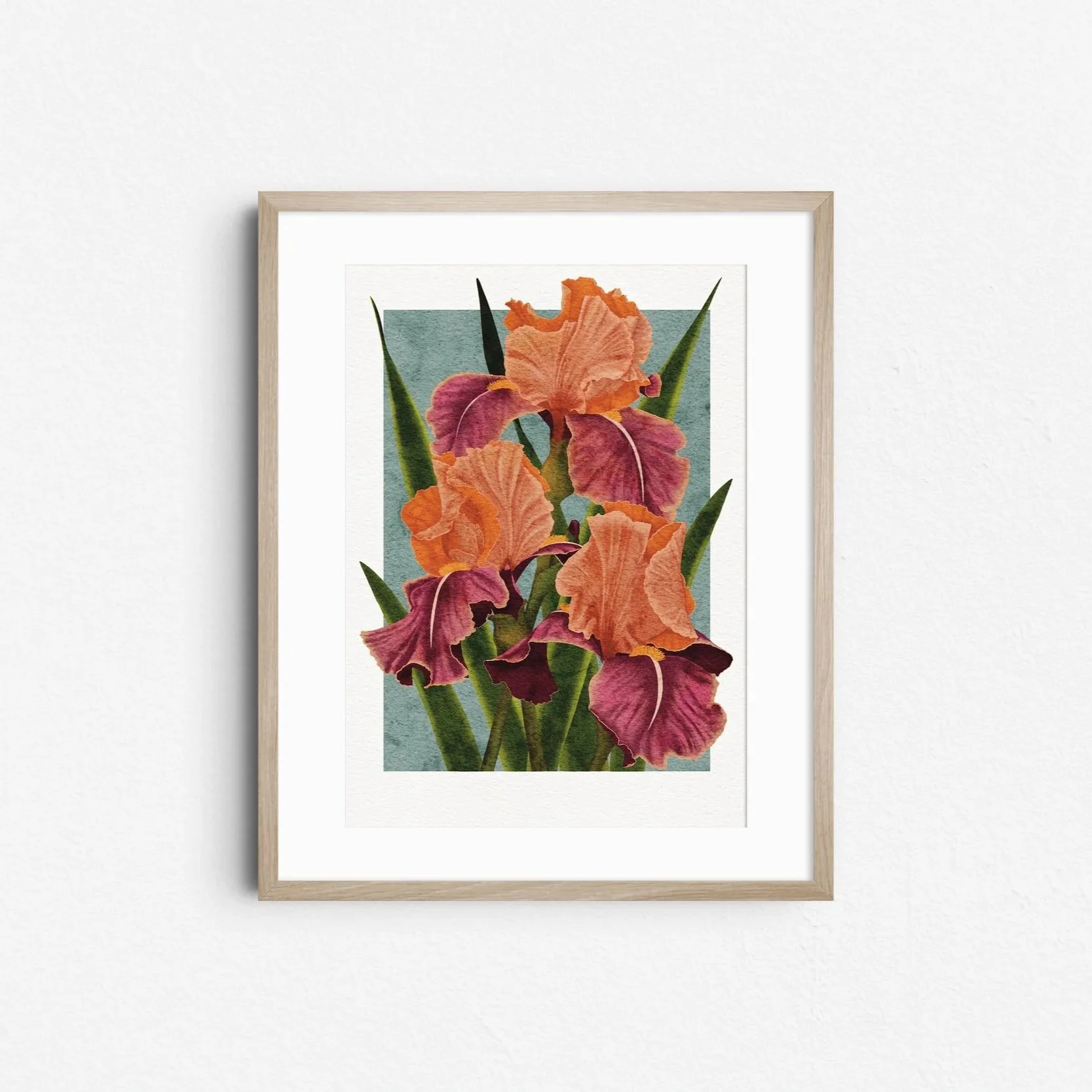 Carnaby Iris art print by Liz Govier Art Studio, digital botanical painting of vibrant orange and deep magenta irises with green leaves, framed in light wood.
