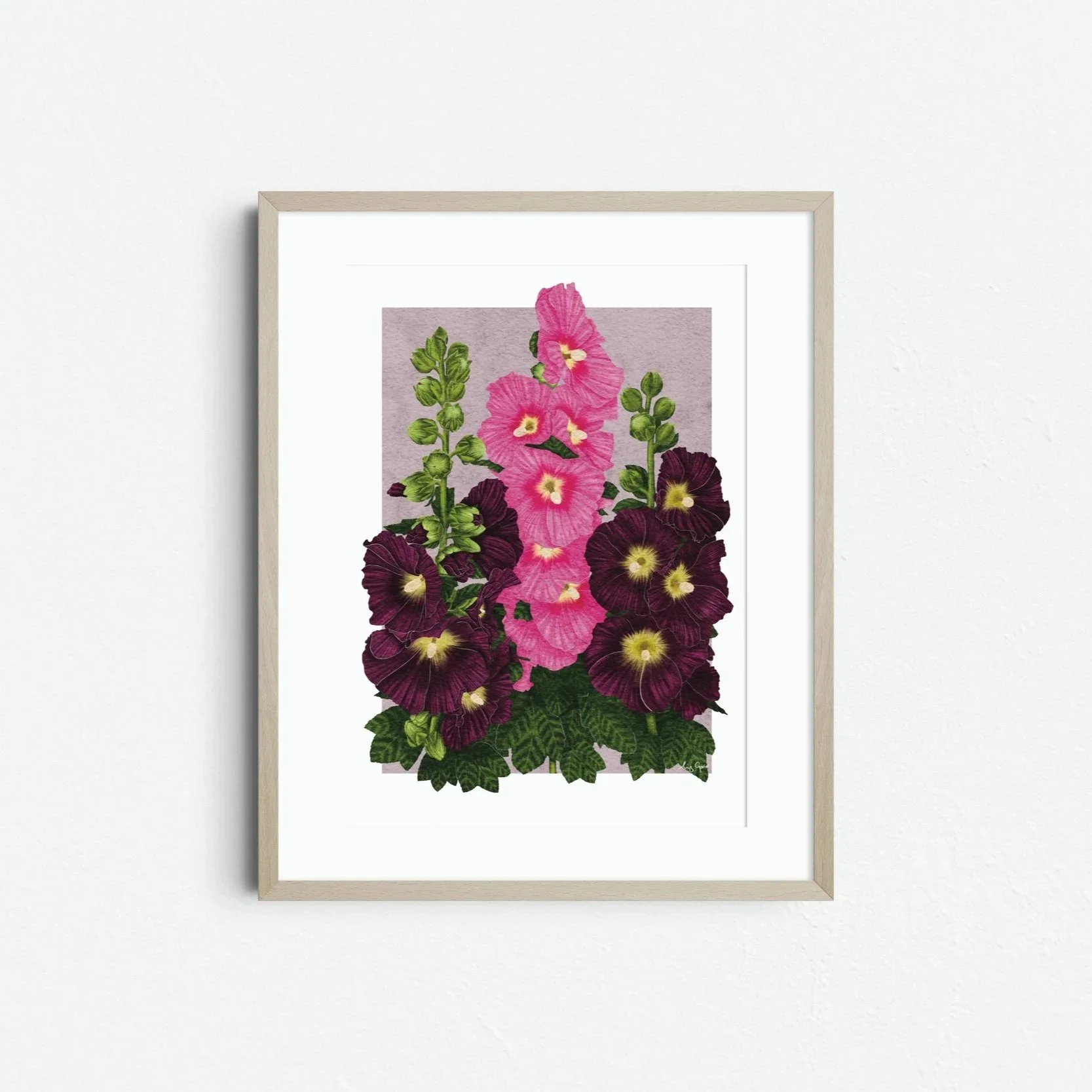 Hollyhocks - Botanical Art Print