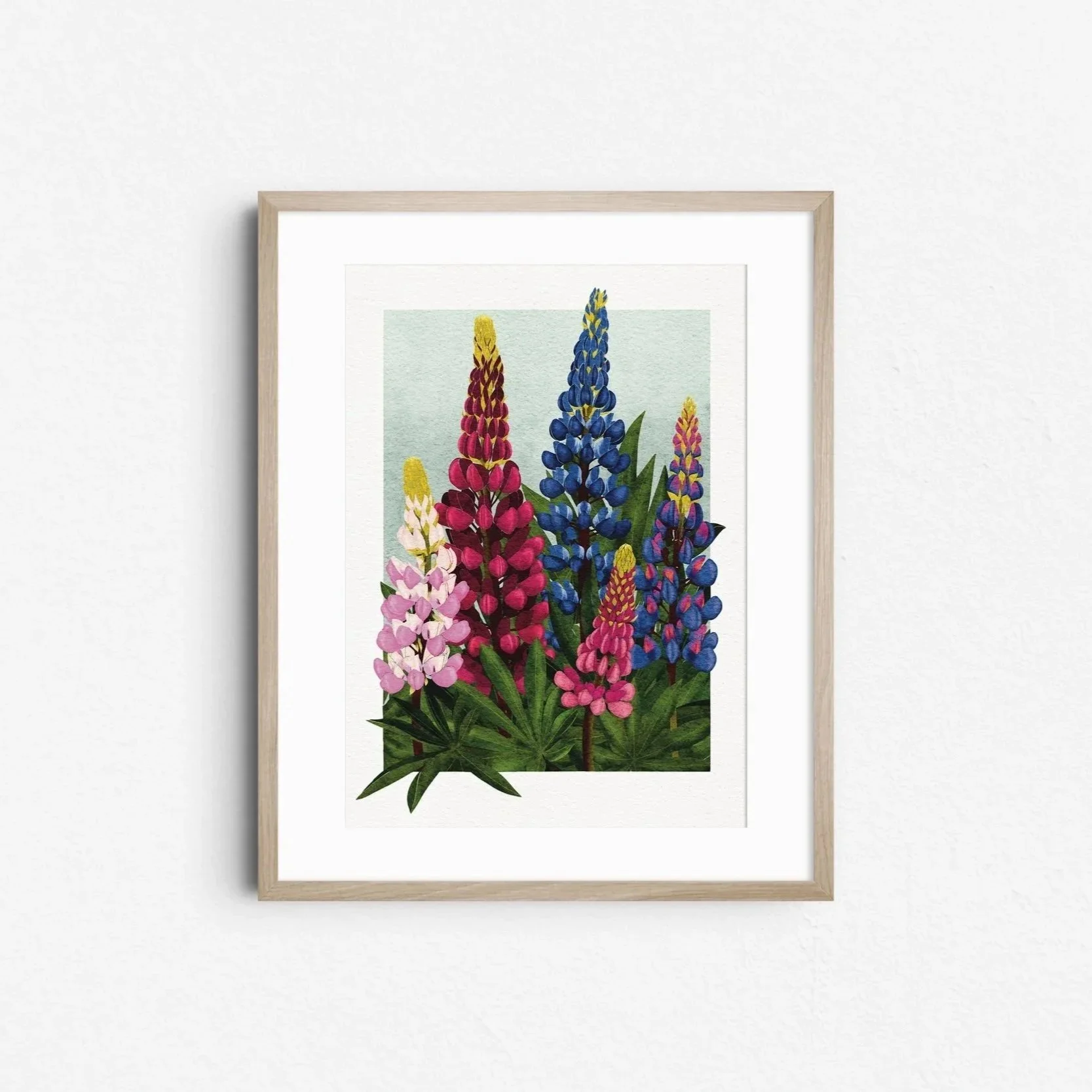 Lupins - Botanical Art Print