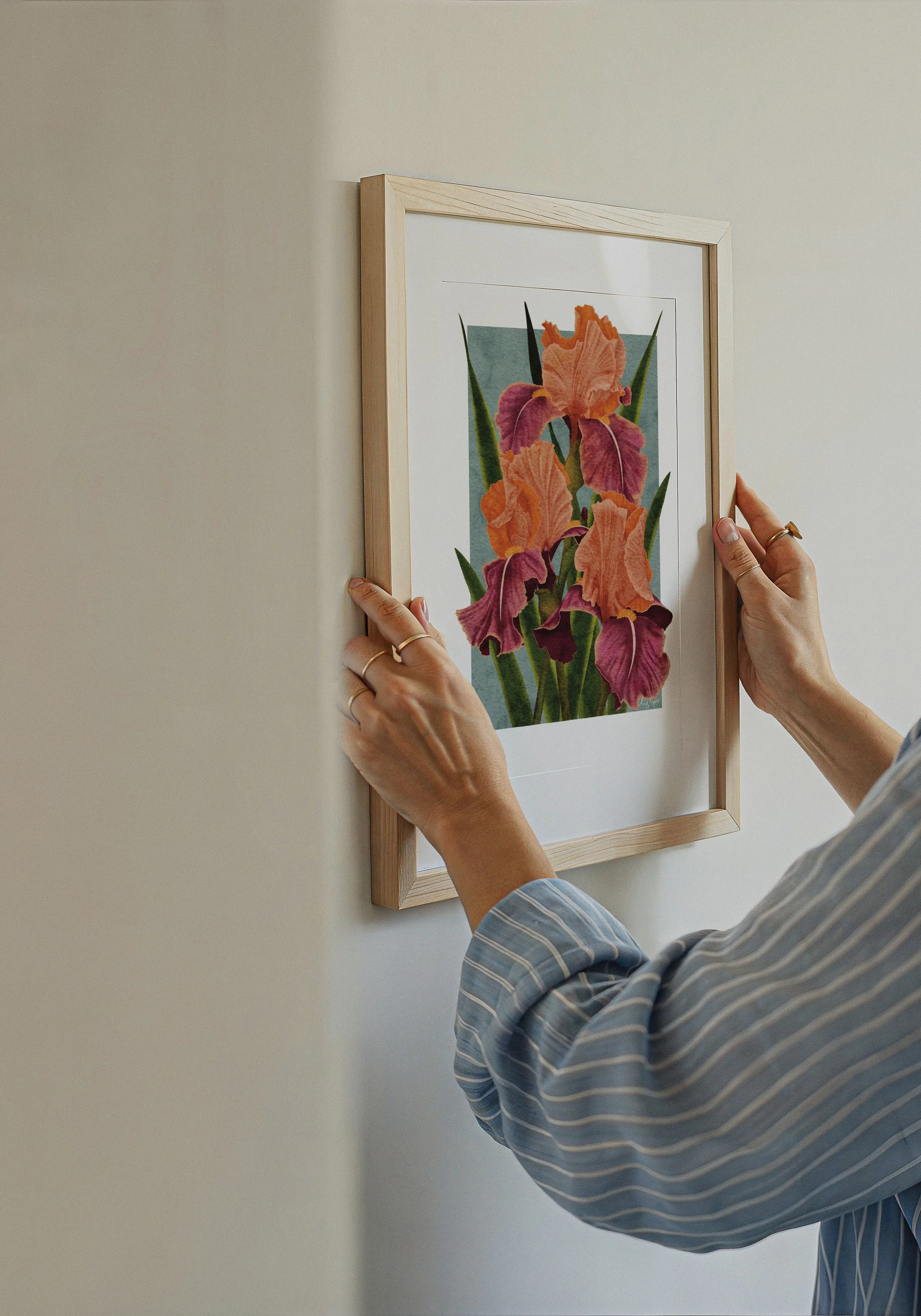 Person positioning framed Carnaby Iris fine art print by Liz Govier Art Studio against a neutral wall in natural light.