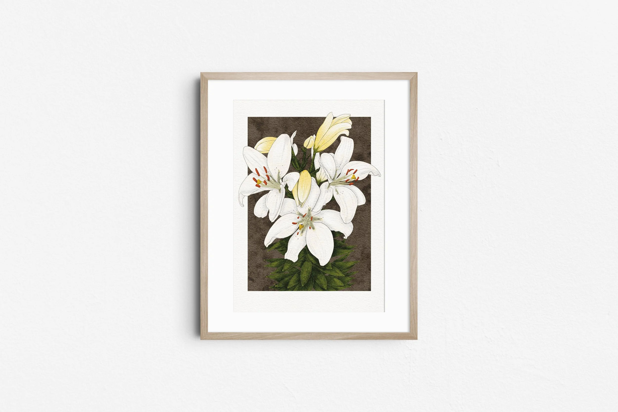 White Lilies - Botanical Art Print