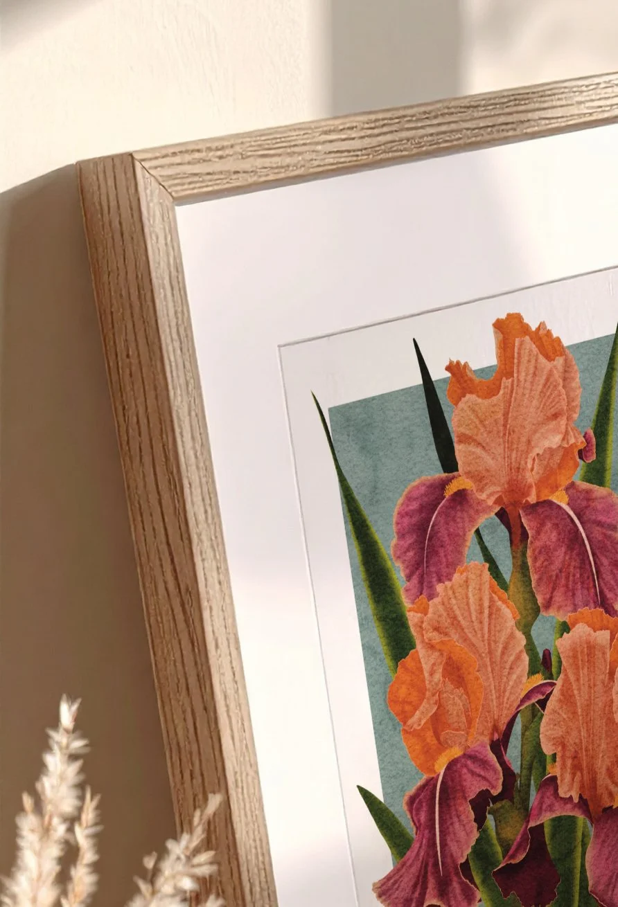 Corner detail of framed Carnaby Iris fine art print showing paper texture and tonal warmth in close-up.