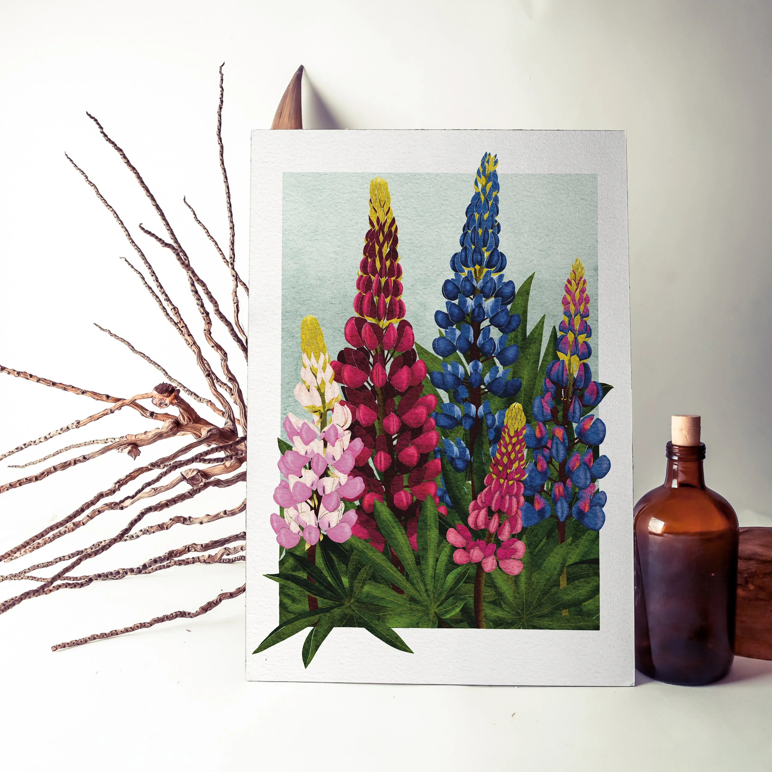 Unframed Lupins art print styled with dried twigs and a brown glass bottle, contemporary botanical artwork by Liz Govier Art Studio.