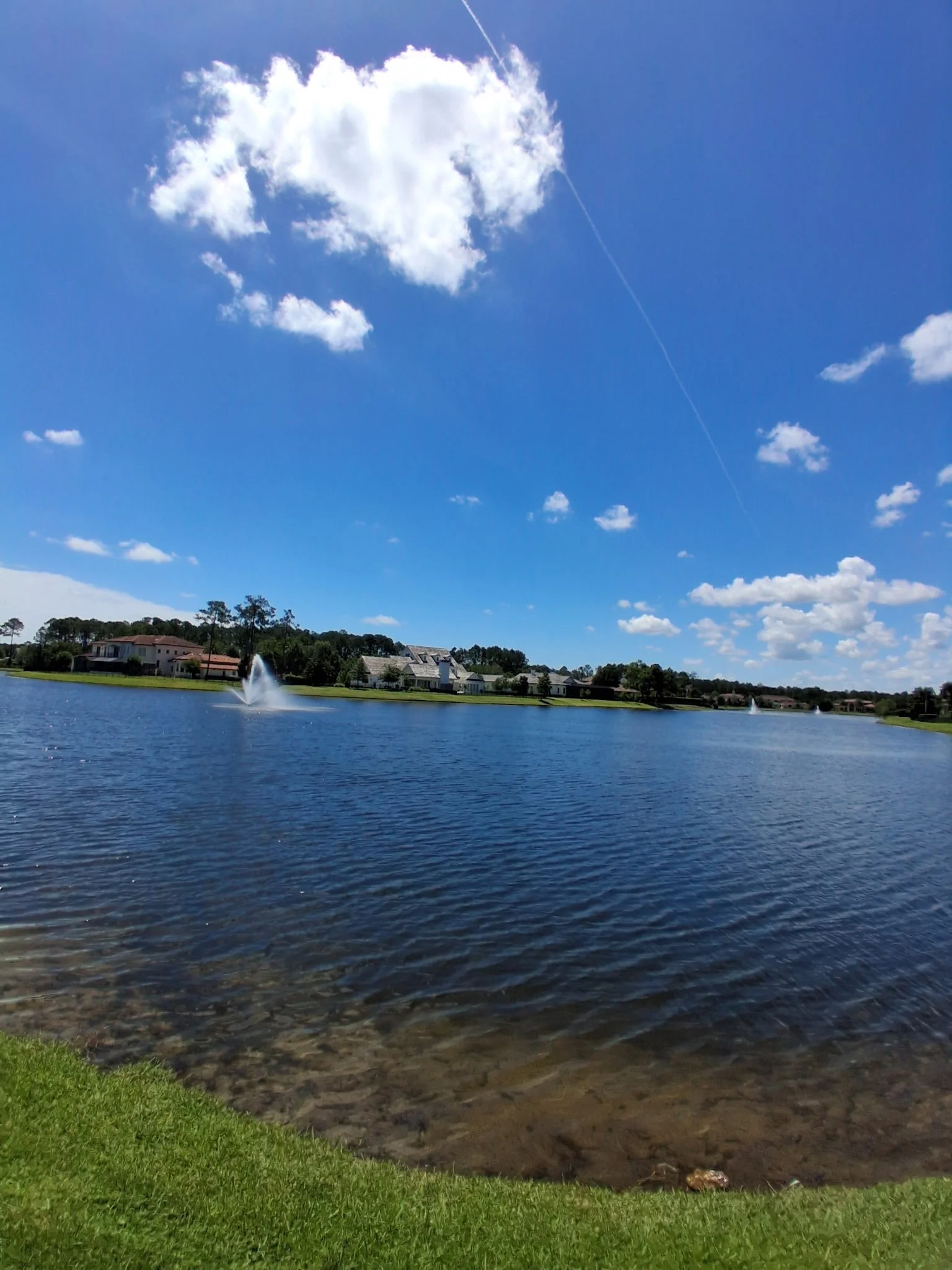 IMG_20260605_123009.jpg