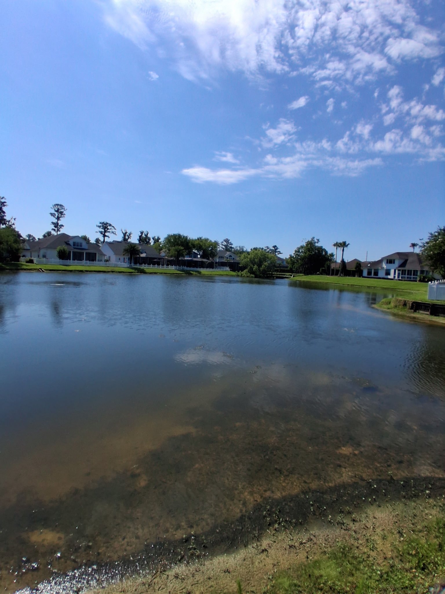 IMG_20260612_120921.jpg
