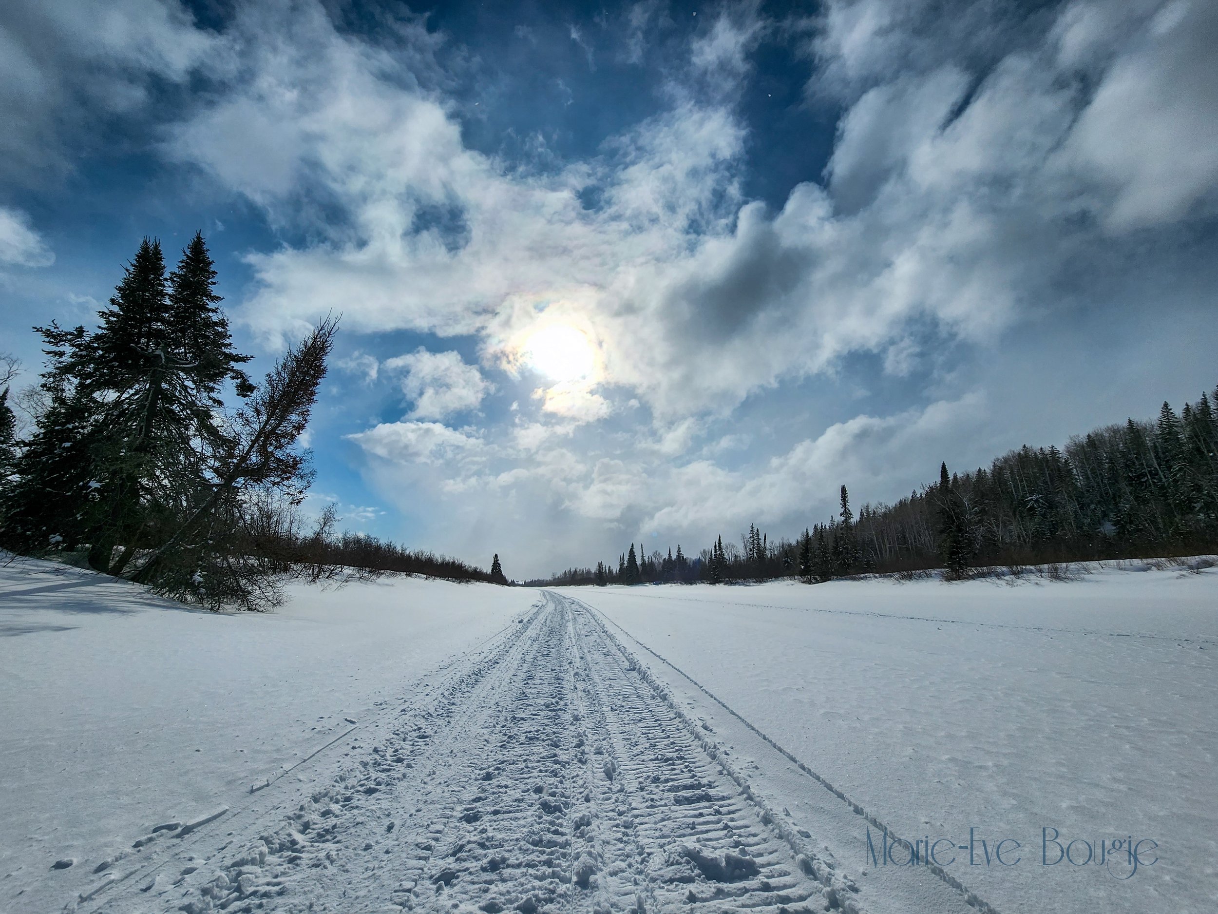 Un paysage enneigé avec une piste tracée, des arbres et un ciel nuageux avec le soleil.