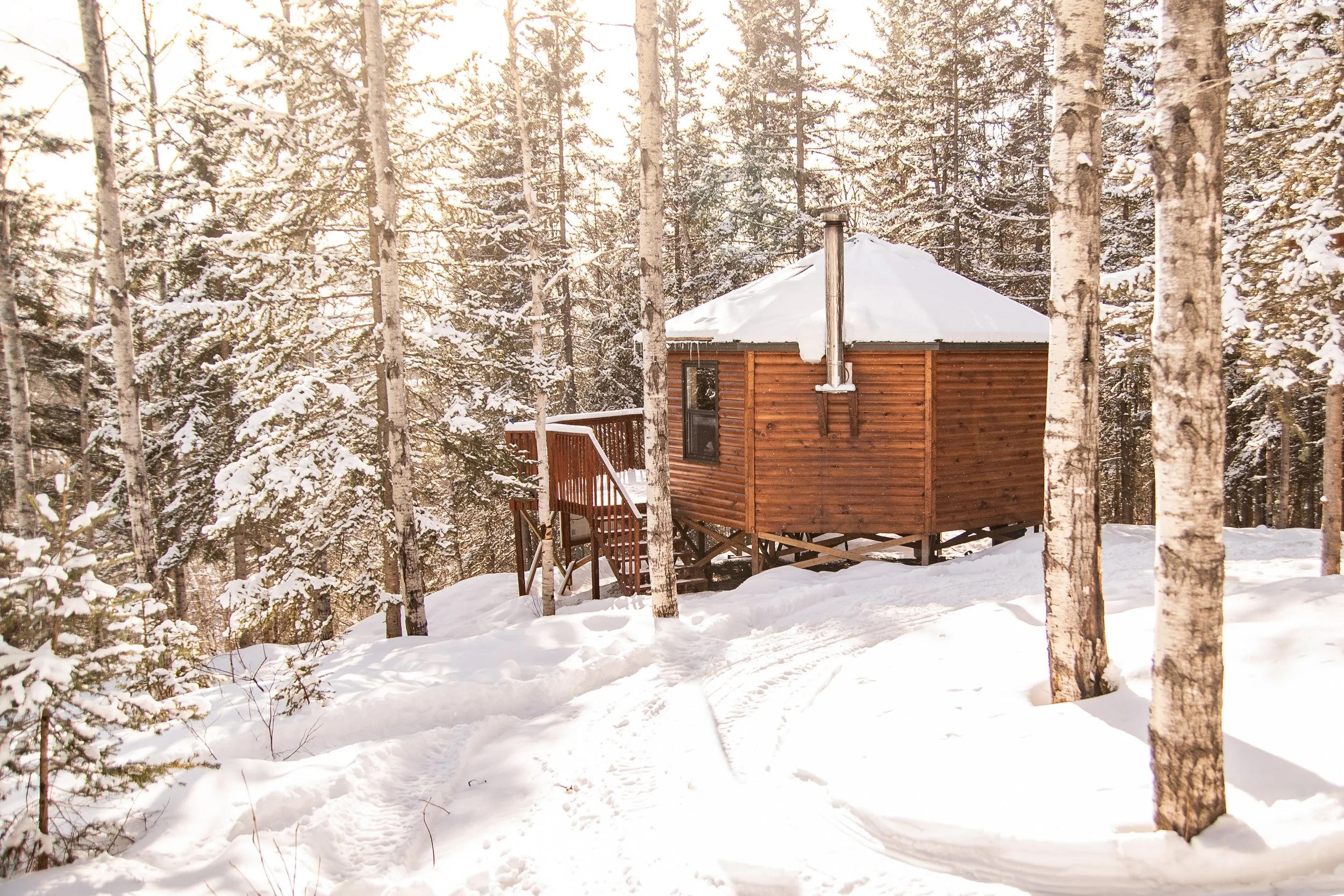 Une cabane en bois dans une forêt enneigée avec des arbres et de la neige sur le sol.