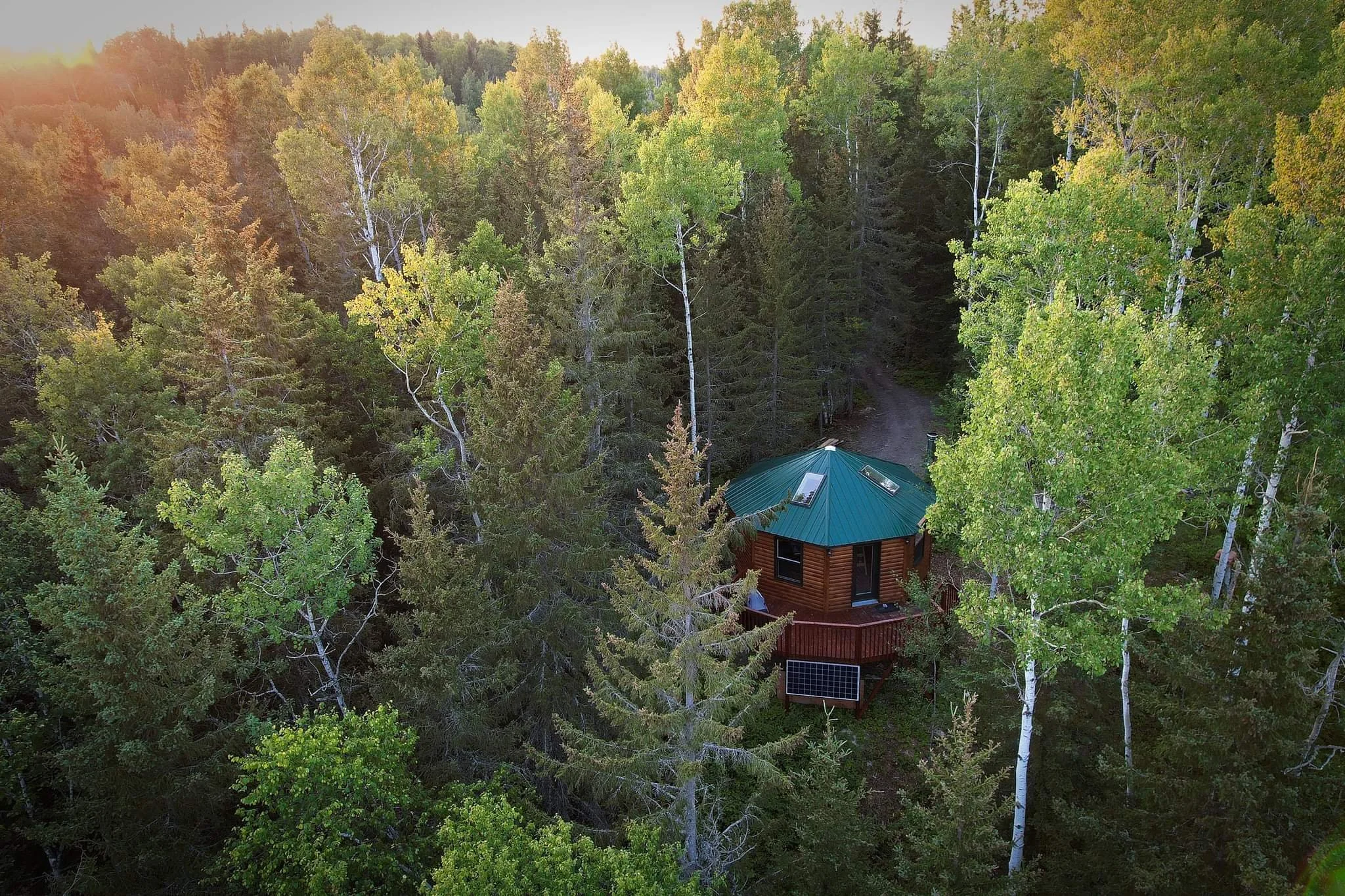 Une cabane en bois avec un toit vert, située dans une forêt dense de grands arbres verts, sous un ciel en fin d’après-midi ou en début de soirée.