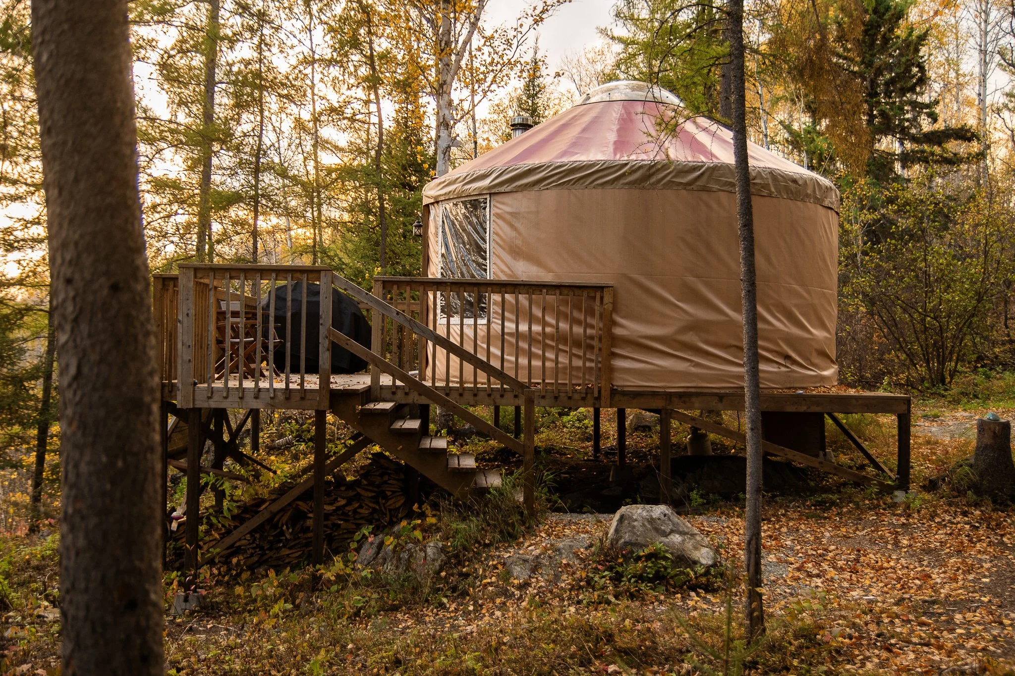 Une yourte installée dans une forêt aux arbres aux feuillages automnaux. La yourte est construite sur une plateforme en bois, avec un escalier menant à l'entrée, et est entourée de feuilles mortes.