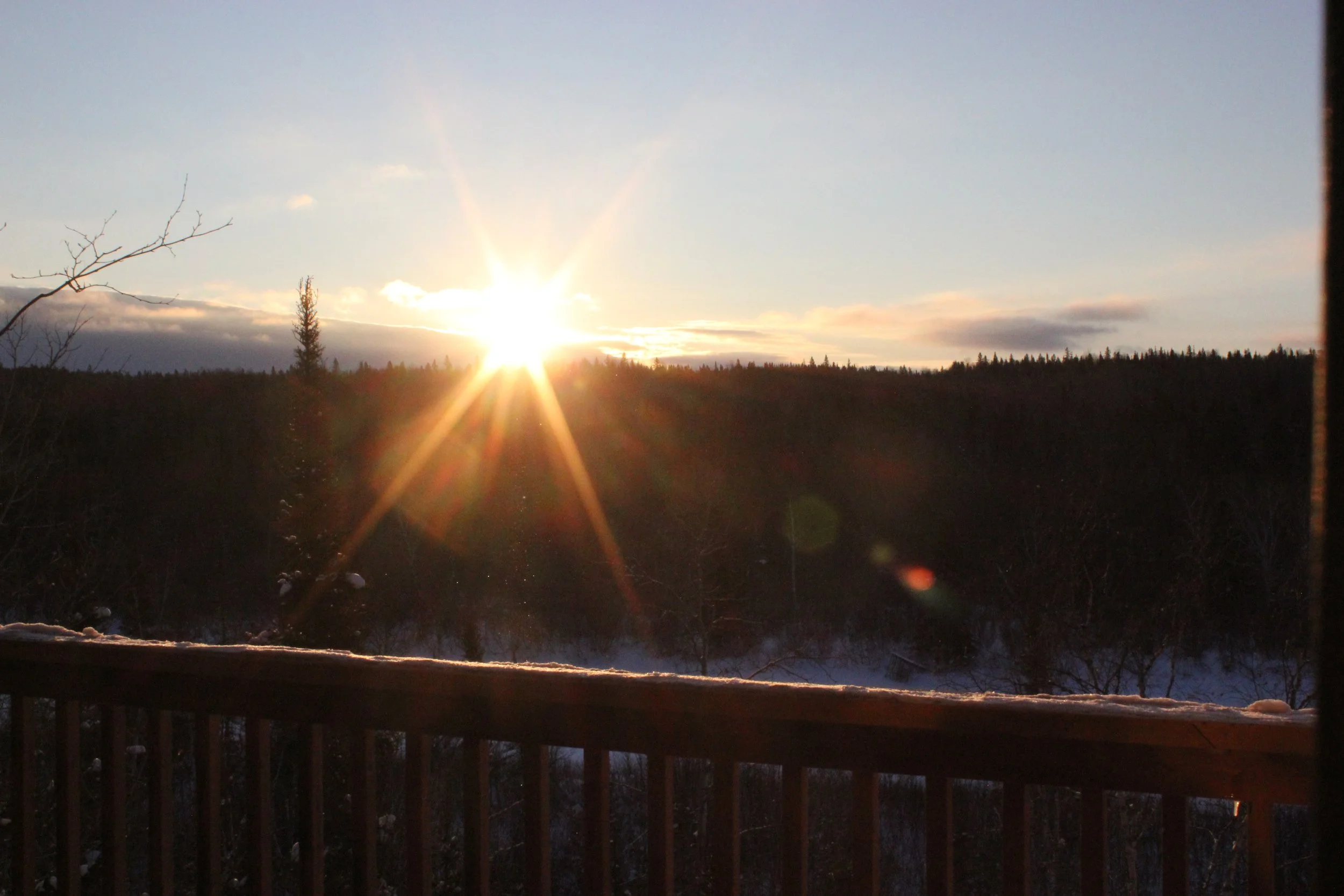 Coucher de soleil sur une forêt avec un ciel dégagé en arrière-plan, vue depuis une terrasse en bois avec neige sur la rambarde.