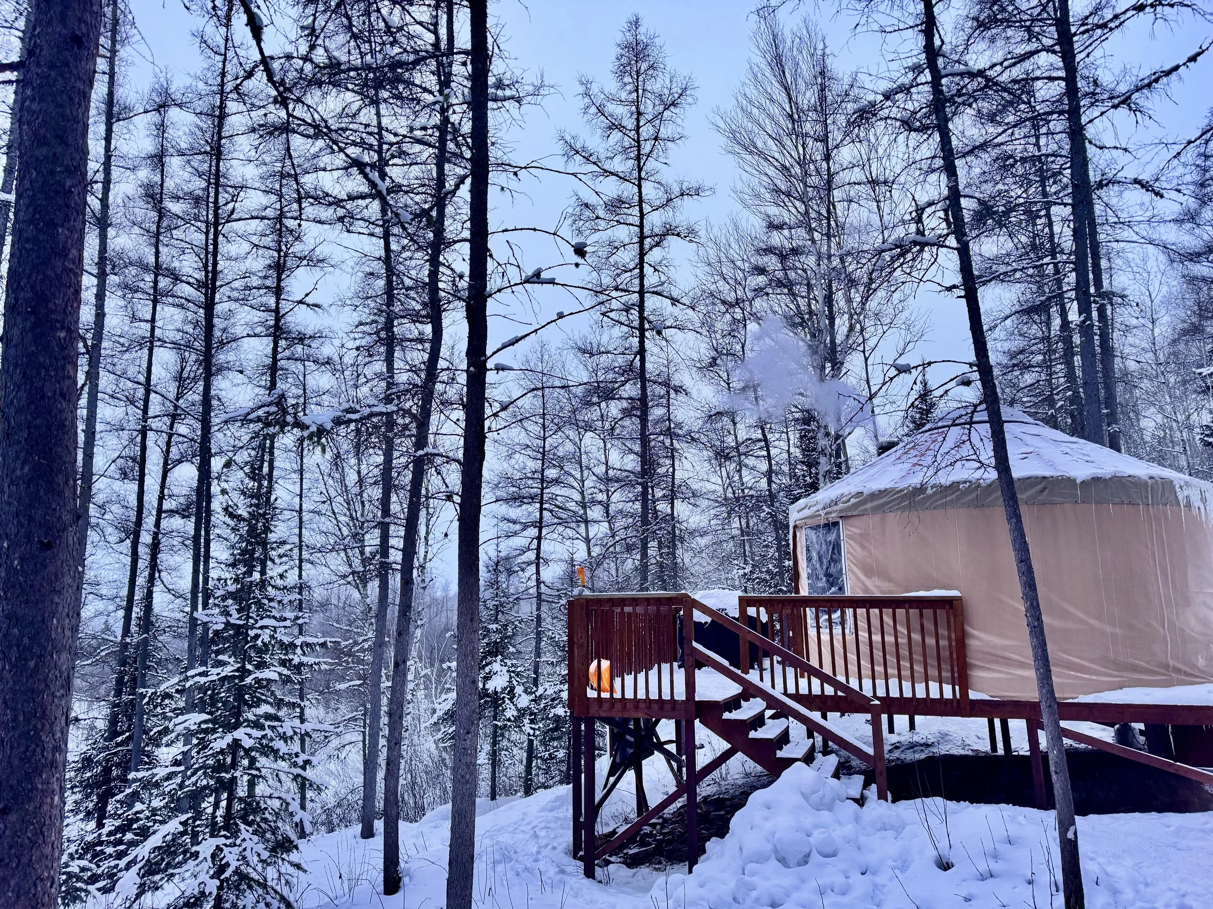 Une scène hivernale avec des arbres sans feuilles recouverts de neige, une maison en toile cirée avec un escalier en bois, et la neige qui tombe doucement.