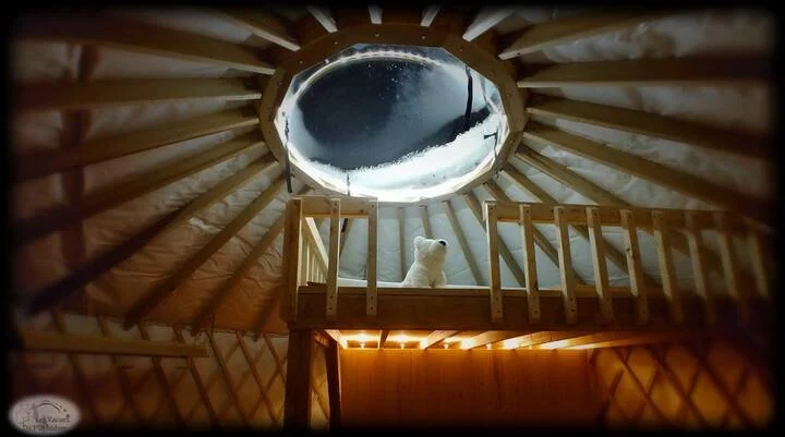 Un ours polaire assis dans une cabane en bois avec un plafond rond en forme de dôme, un trou au centre laissant voir le ciel étoilé.