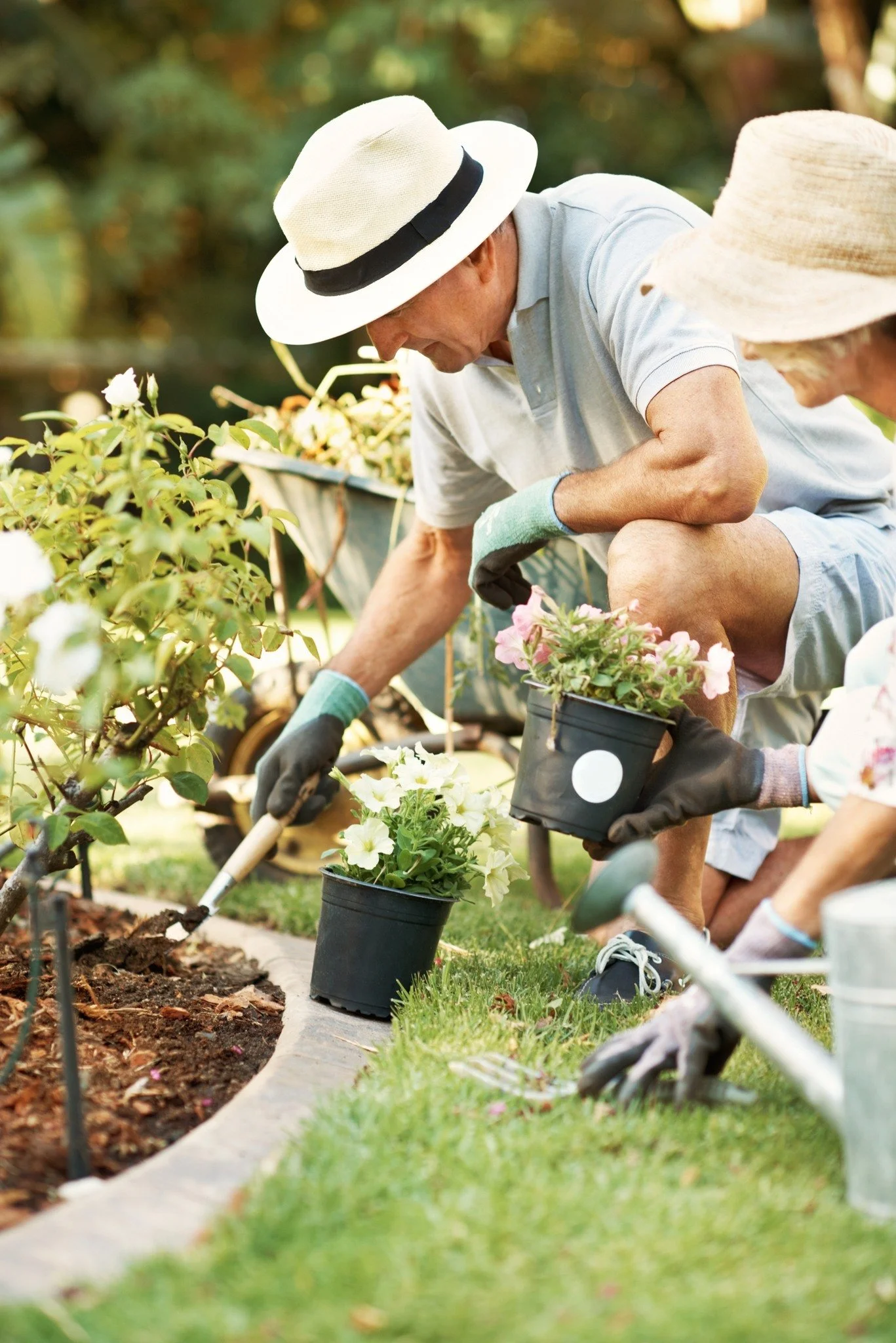 More outdoor space. More freedom. More ways to enjoy life 🌿

One of the things that sets Monterey Estates North apart from traditional 50+ condo living is the outdoor lifestyle. Enjoy your own private yard with space to garden, relax, entertain, or 